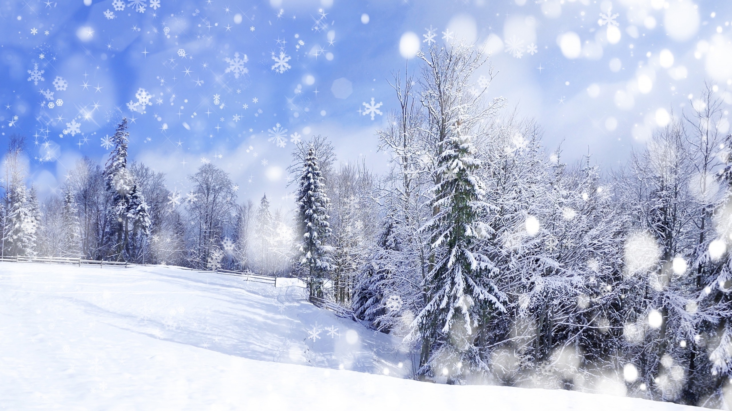 HD desktop wallpaper: Winter, Snow, Forest, Tree, Artistic, Snowflake  download free picture #783323