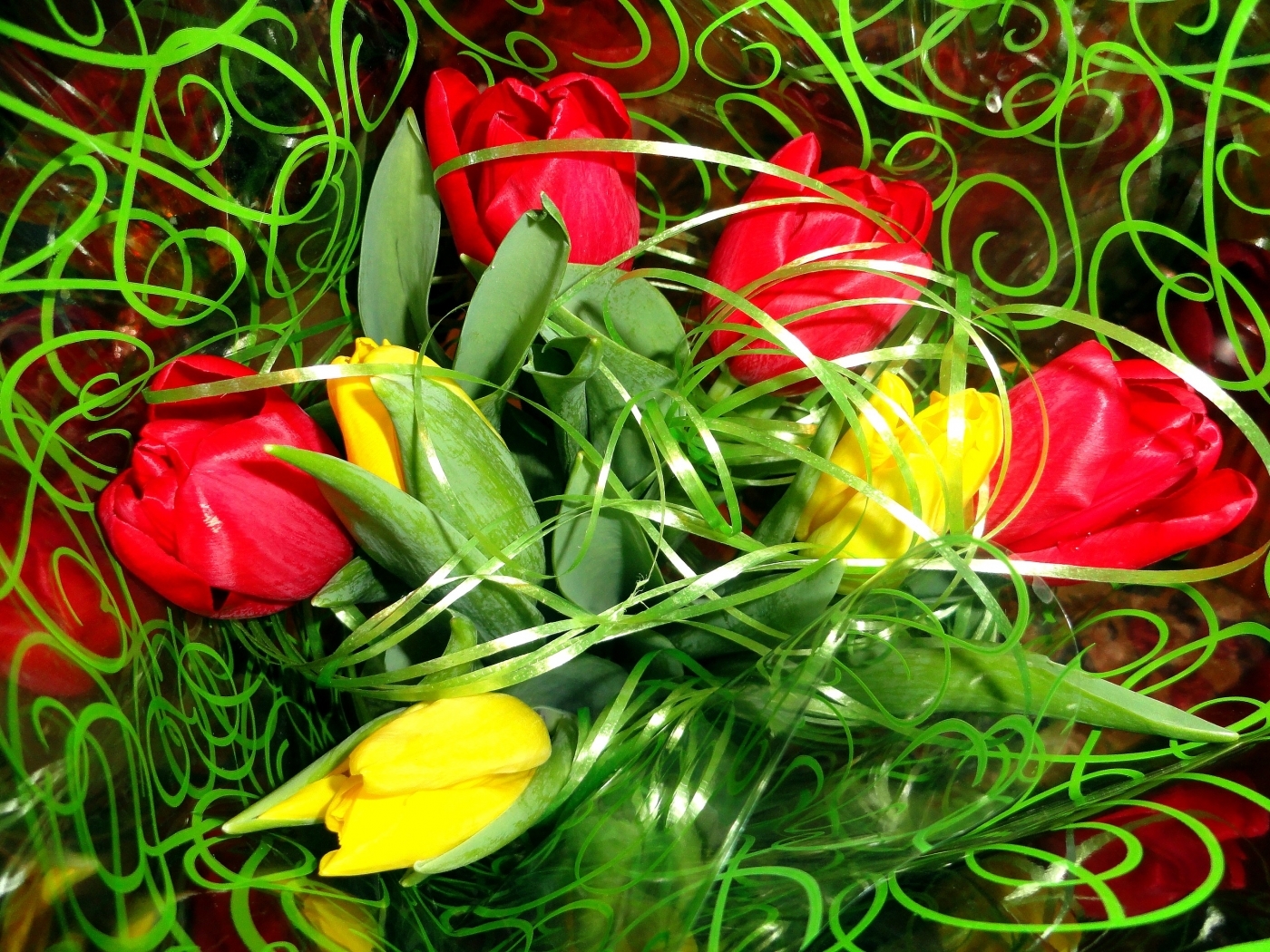25707 télécharger l'image plantes, fleurs, tulipes, vert - fonds d'écran et économiseurs d'écran gratuits