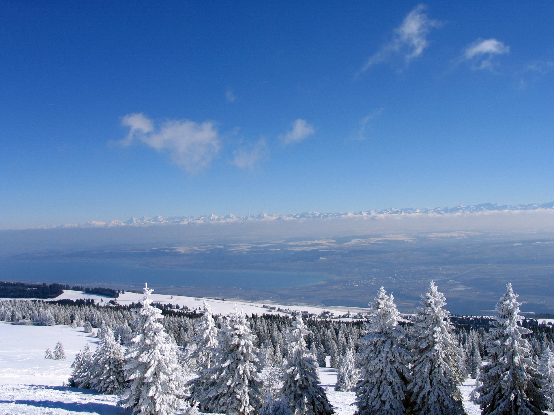 Laden Sie das Sky, Wald, Aß, Aßen, Klar, Ich Verstehe, Natur, Schweiz, Winter-Bild kostenlos auf Ihren PC-Desktop herunter