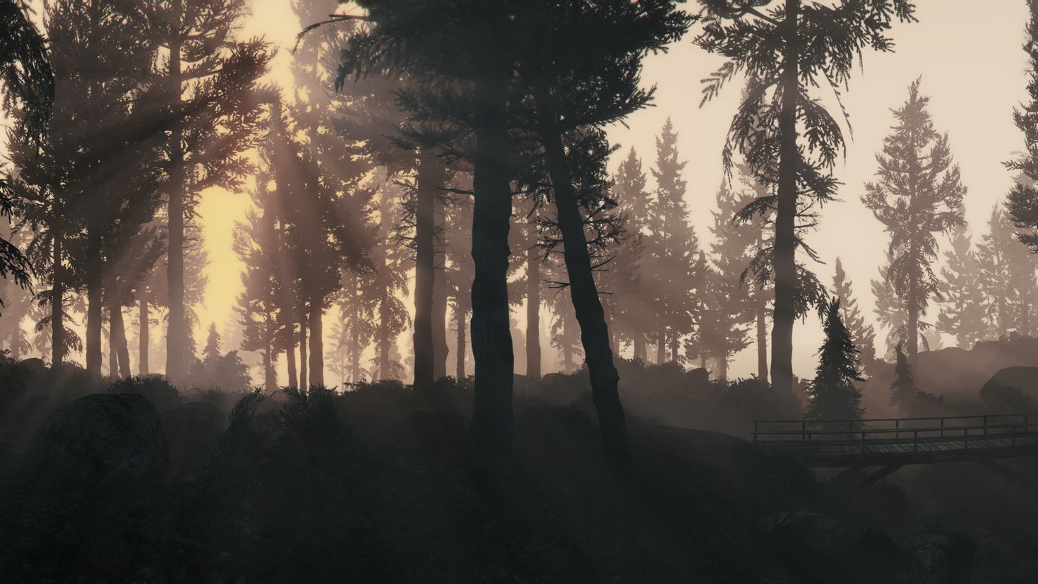 Is there a forest in gta 5 фото 33