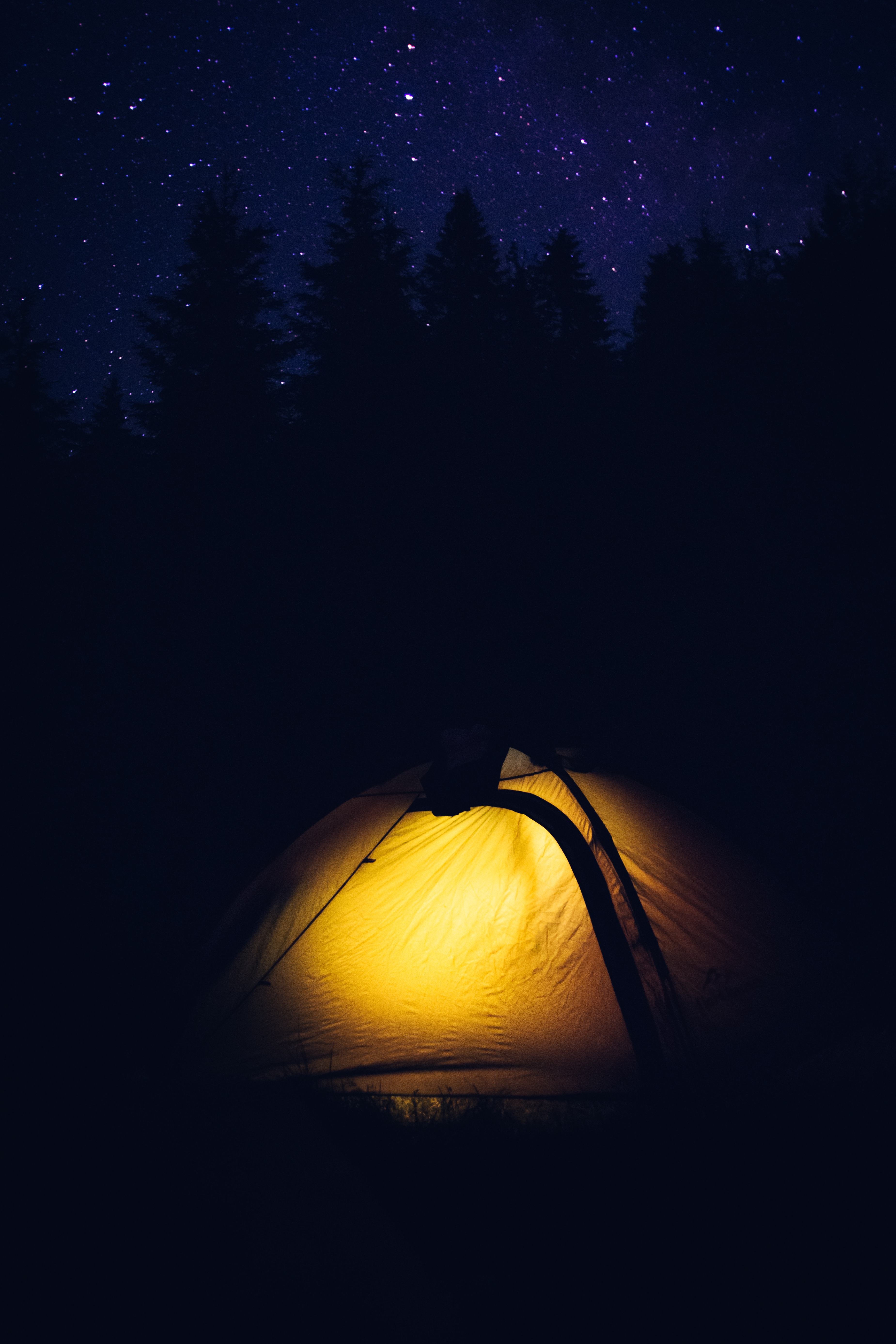 Download mobile wallpaper Forest, Campsite, Night, Tent, Camping, Dark for free.