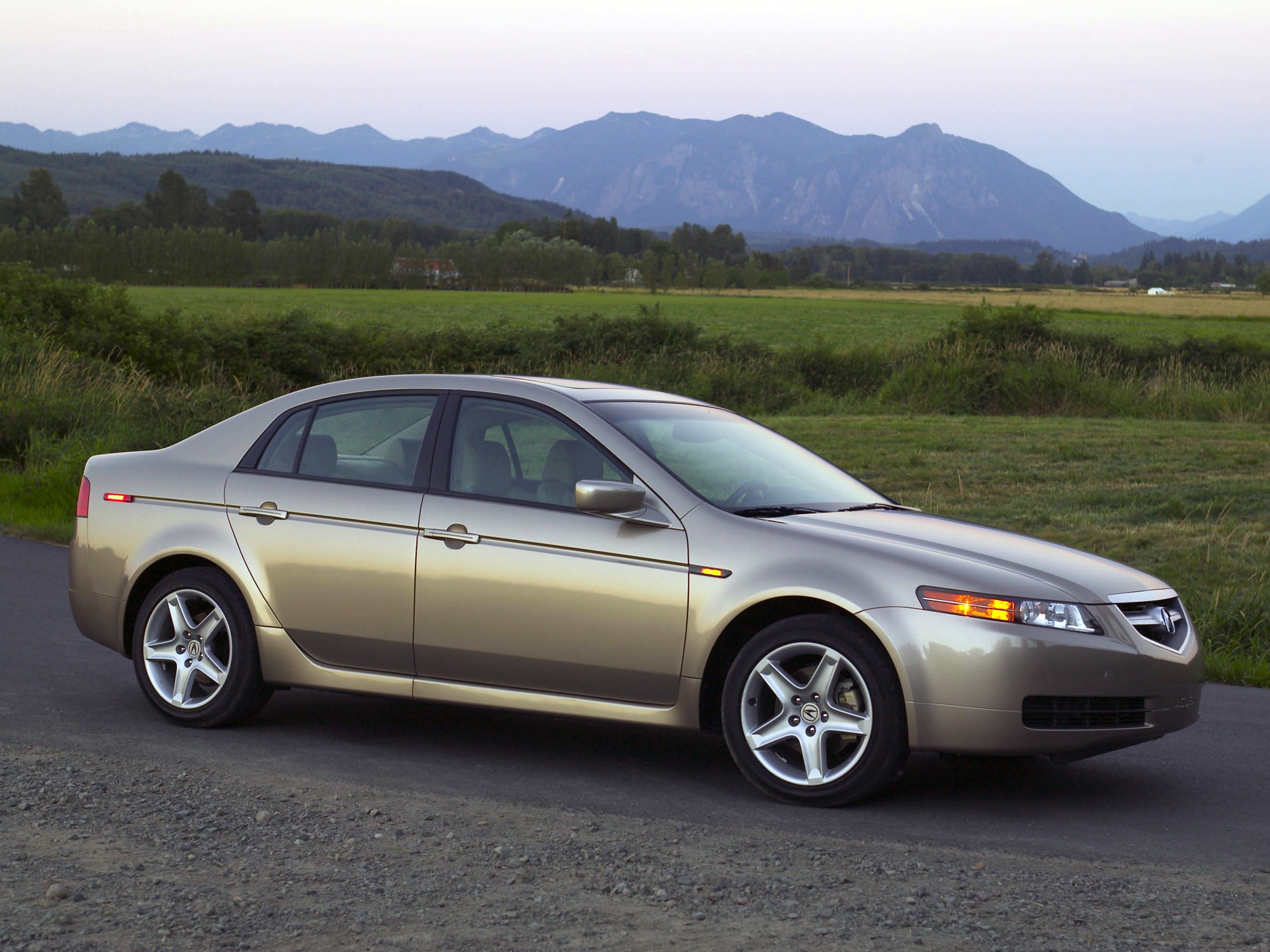 auto, nature, trees, grass, mountains, acura, cars, asphalt, side view, style, tl, 2004, beige metallic wallpaper for mobile
