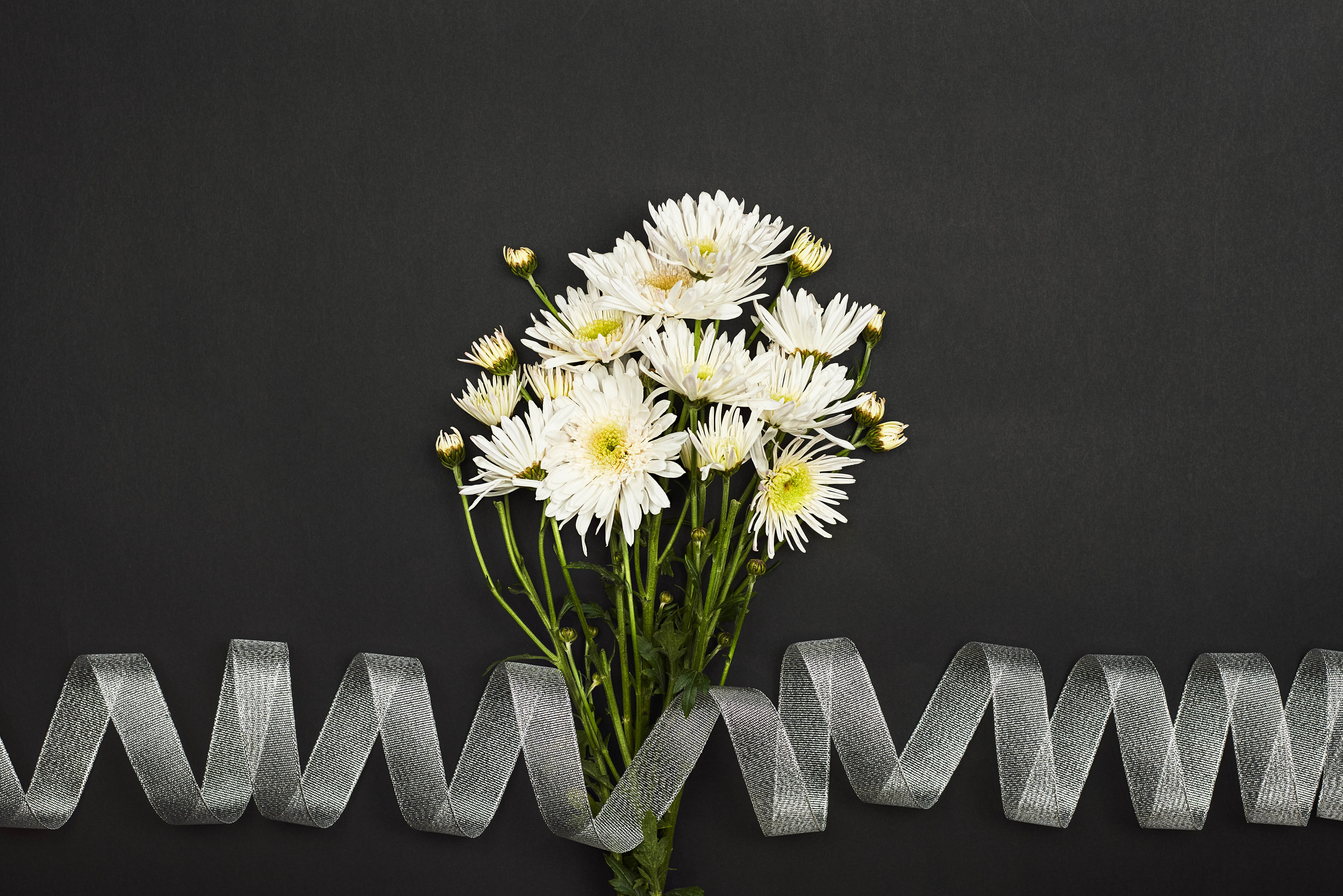 flowers, chrysanthemum, white, bouquet, tape