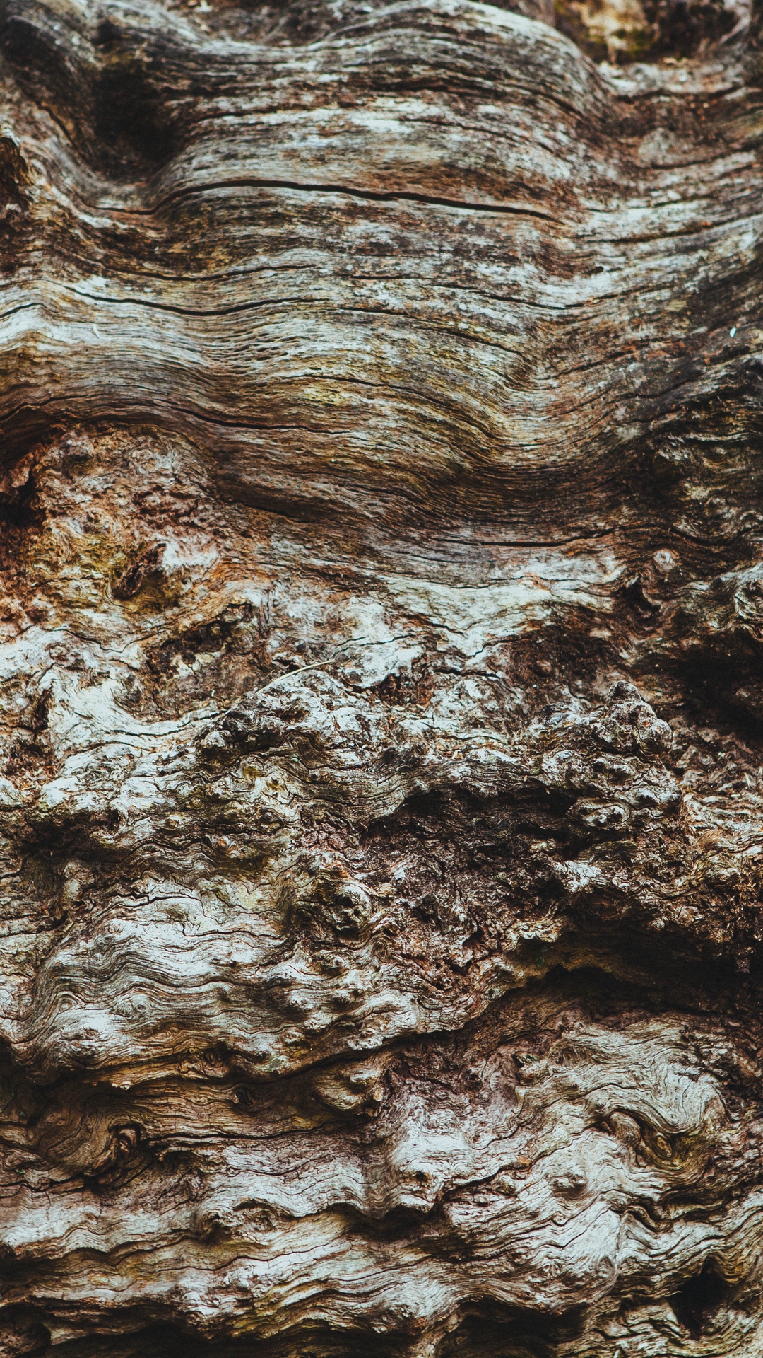 Download mobile wallpaper Texture, Close Up, Earth, Bark for free.