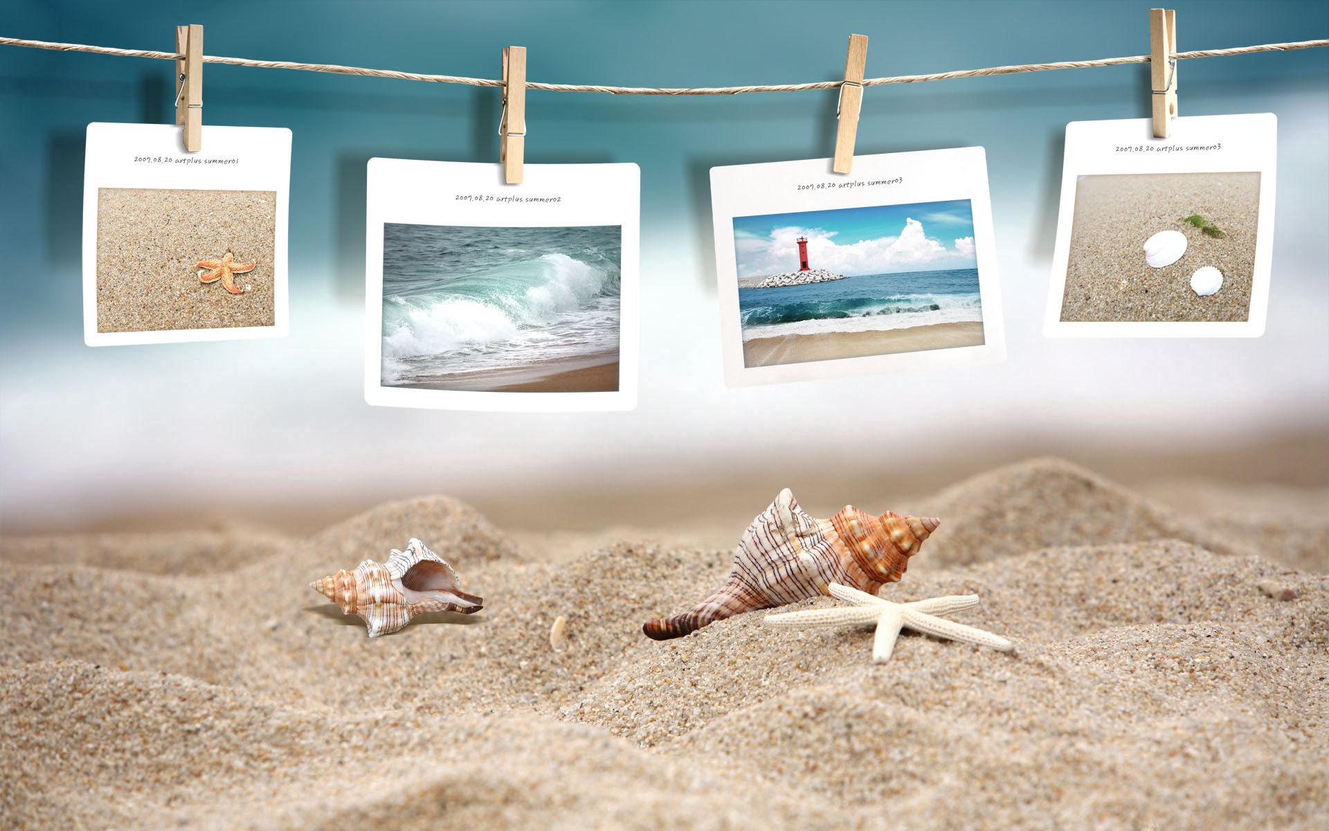 120903 Hintergrundbild herunterladen strand, shells, verschiedenes, sonstige, fotos - Bildschirmschoner und Bilder kostenlos