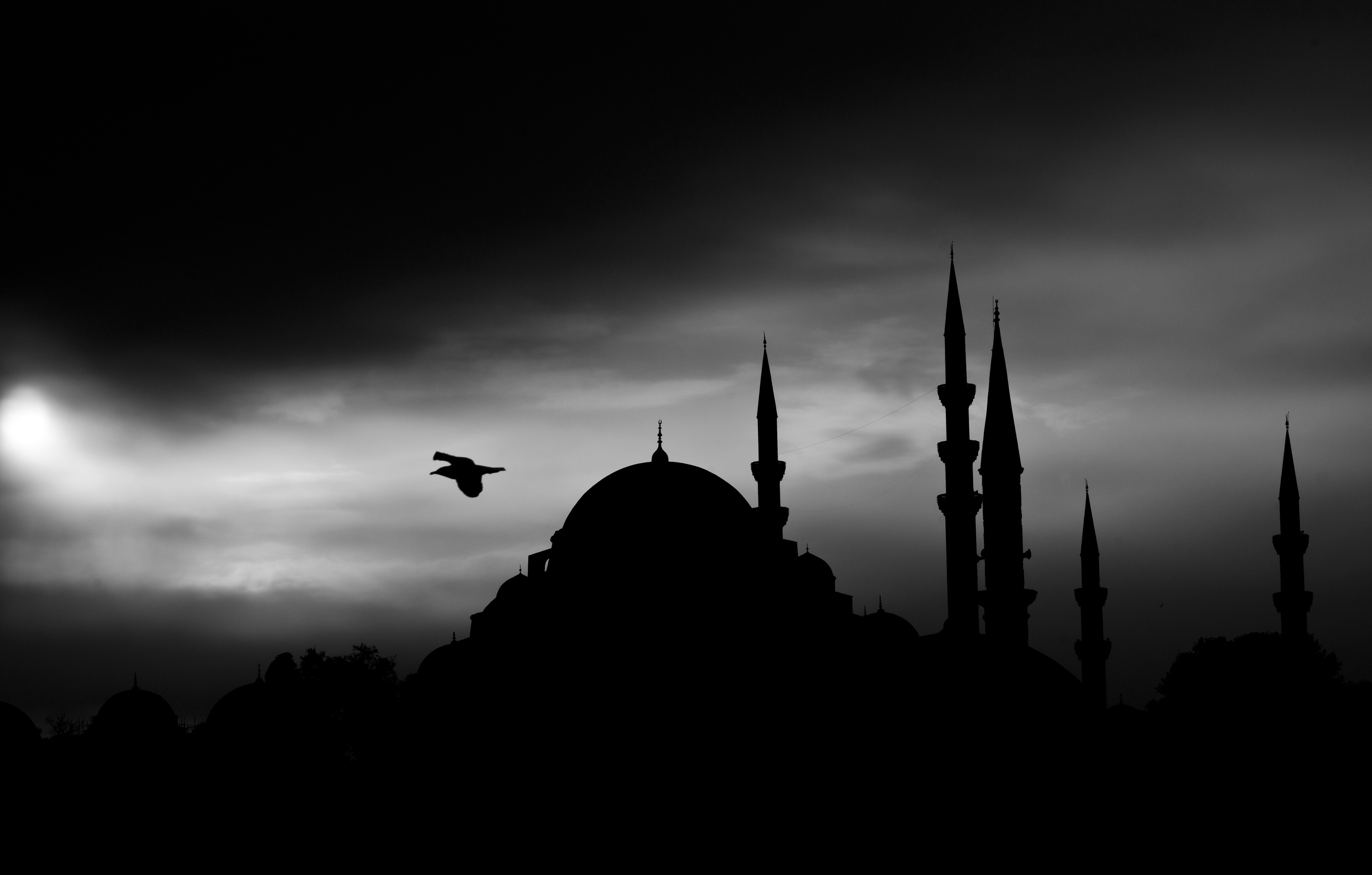 mosques, suleymaniye mosque, mosque, religious, istanbul, night, silhouette phone wallpaper