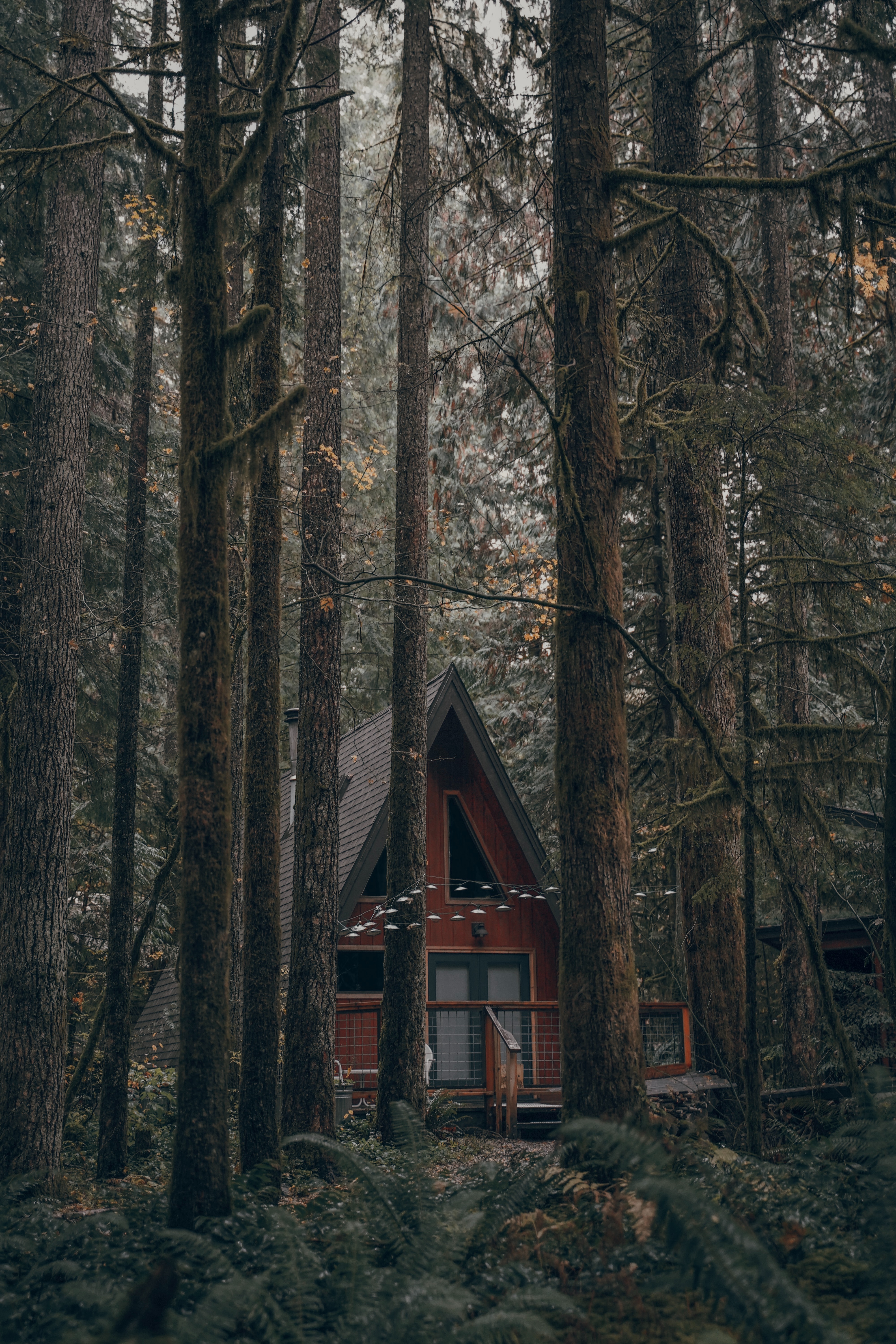Download mobile wallpaper Forest, Building, Trees, House, Nature for free.