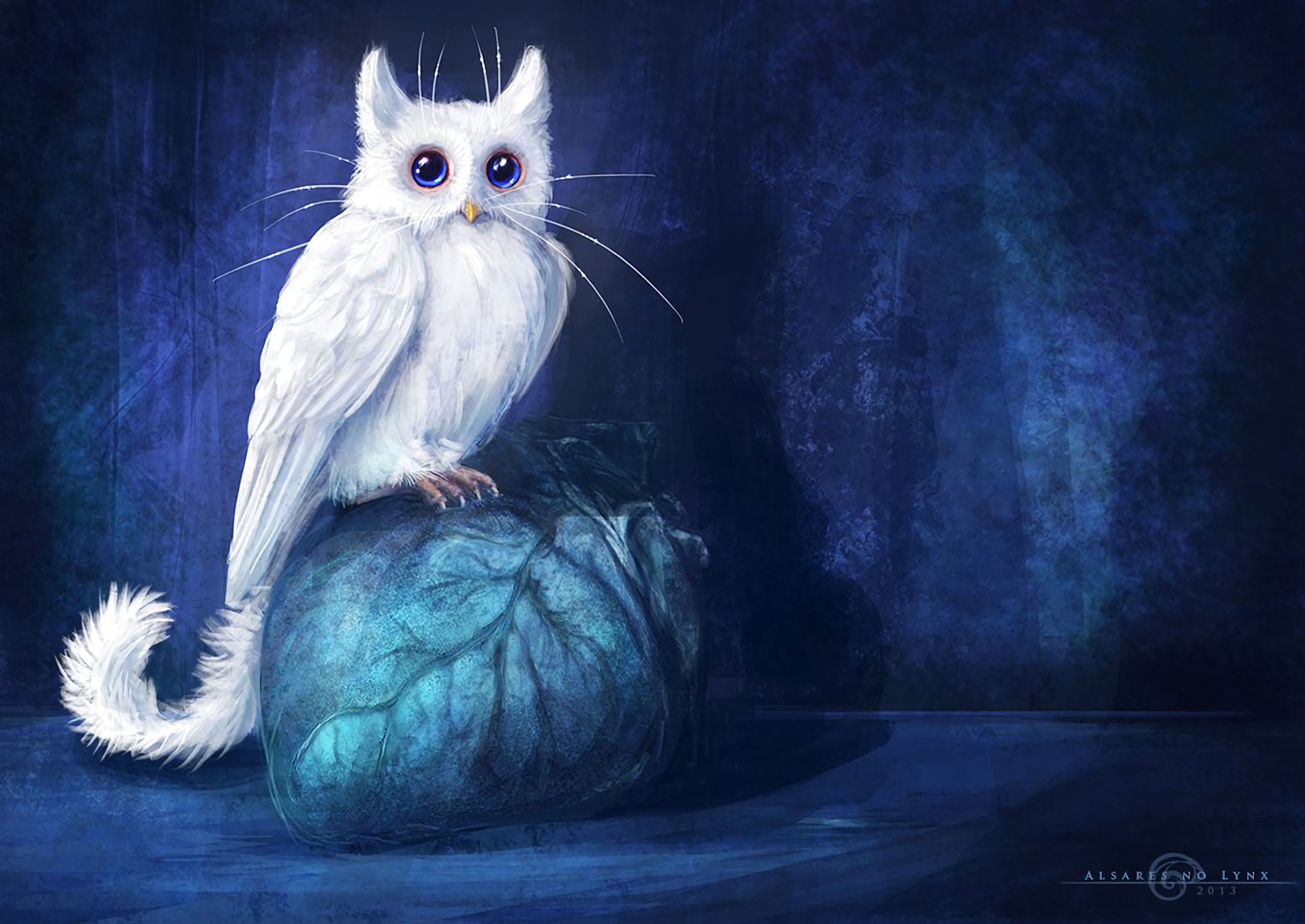 Download mobile wallpaper Cat, Fantasy, Art, Owl for free.