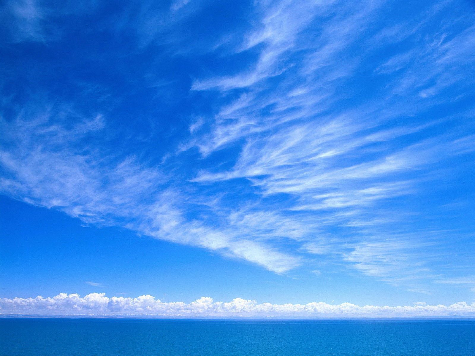 79868 télécharger le fond d'écran nuages, nature, bleu, sky, blanc, tendresse - économiseurs d'écran et images gratuitement