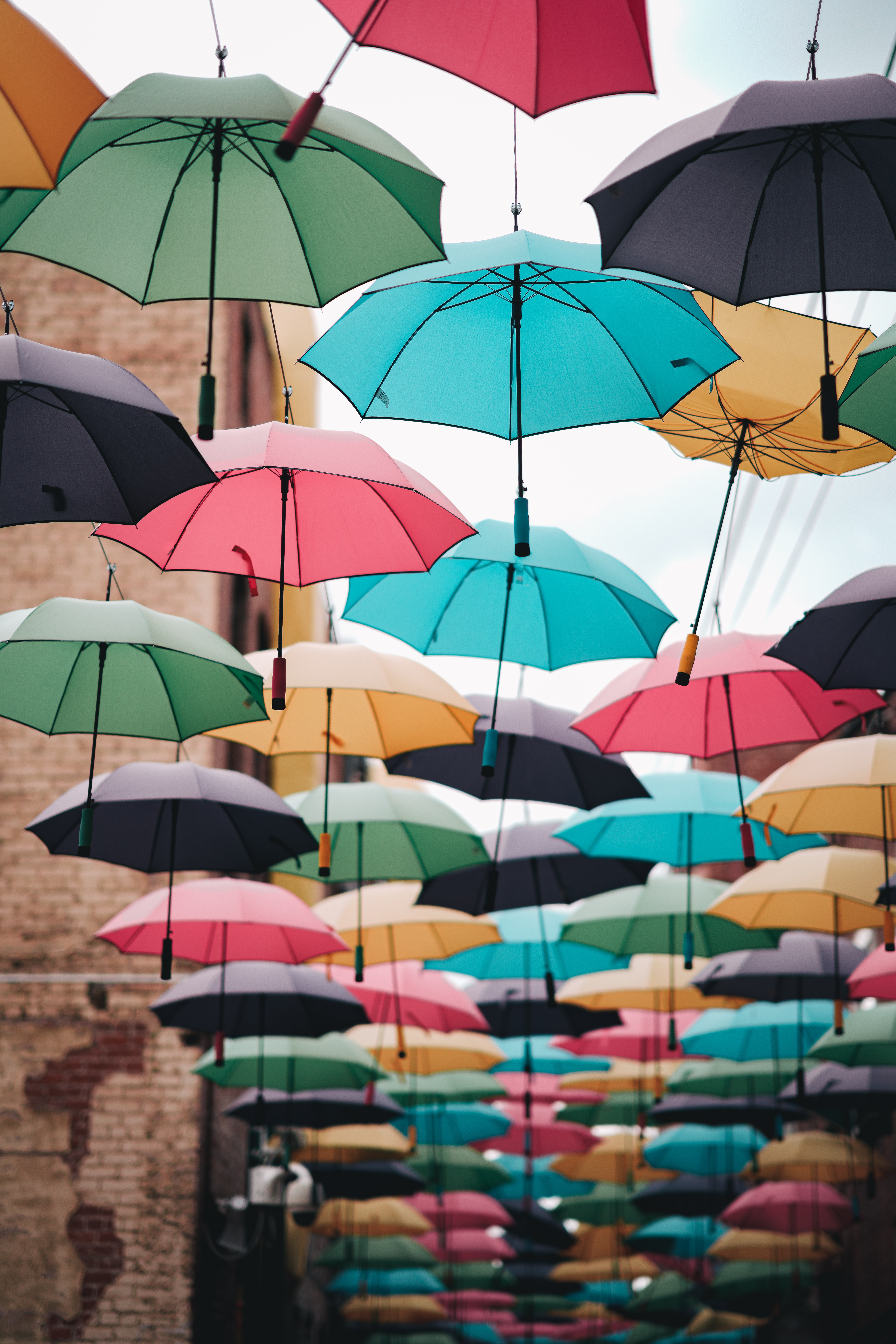 multicolored, decor, umbrellas, miscellanea, miscellaneous, motley, street Phone Background