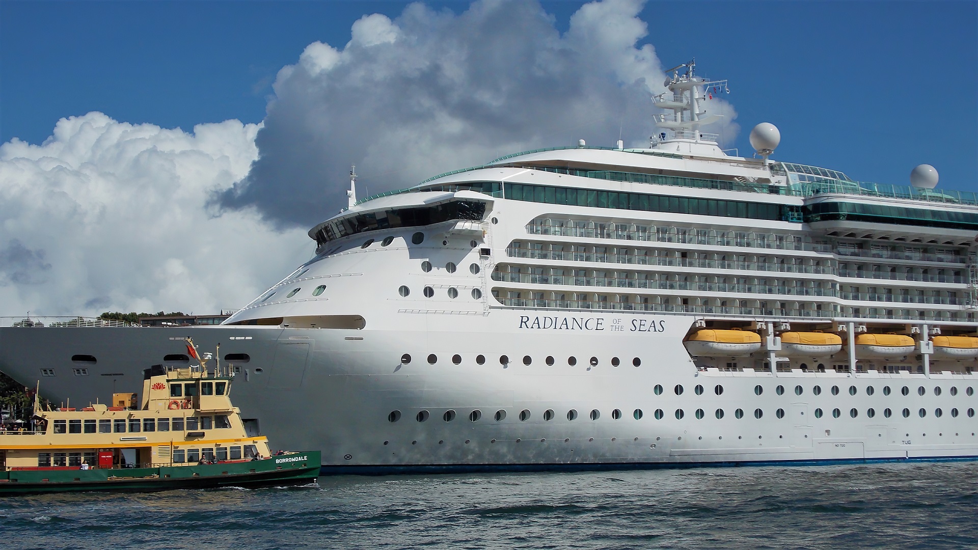 vehicles, radiance of the seas, australia, boat, cruise ship, ferry, harbor, ship, sydney, cruise ships