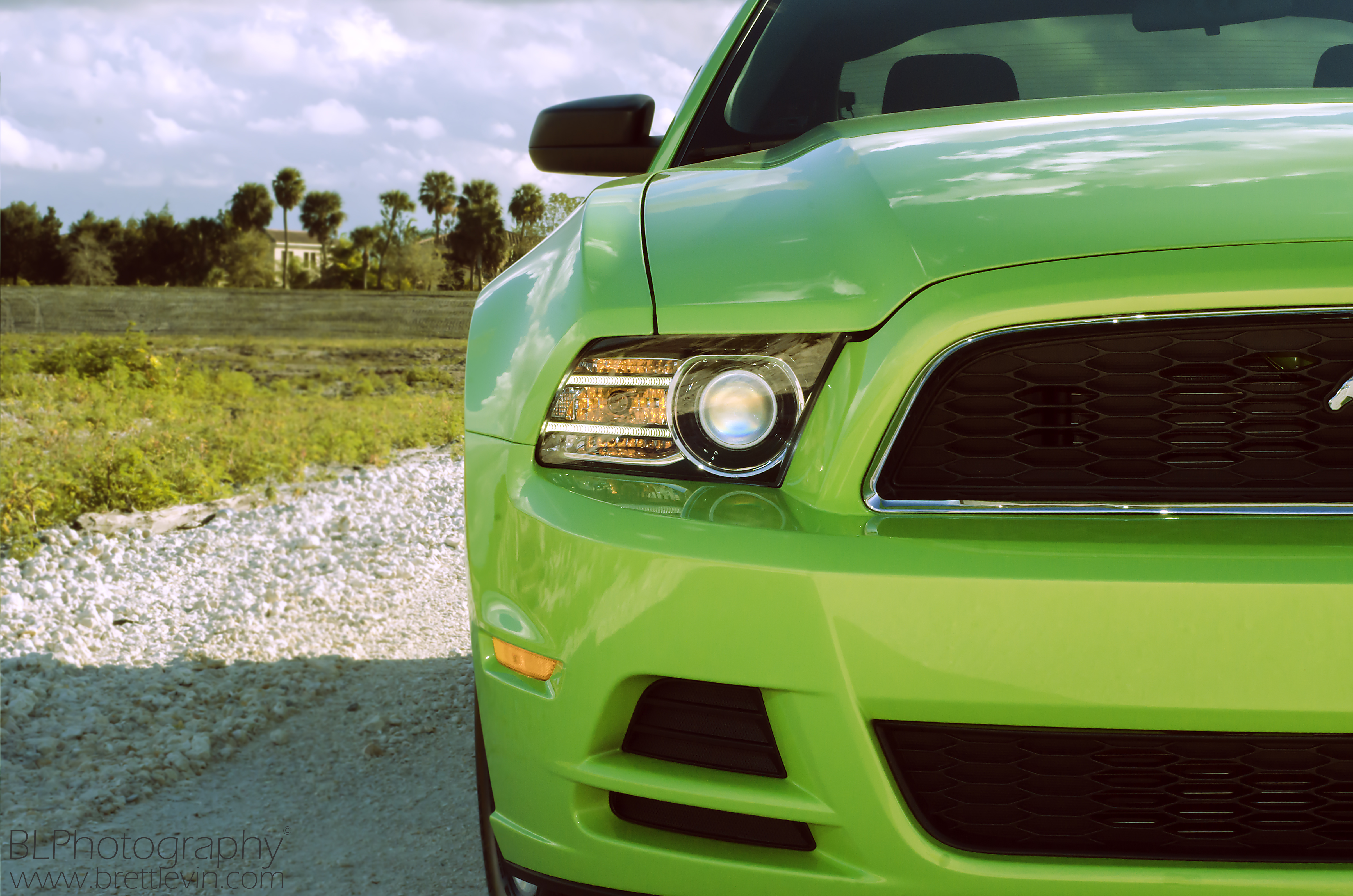 ford mustang, sports car, headlight, green, sports, cars, front view 5K