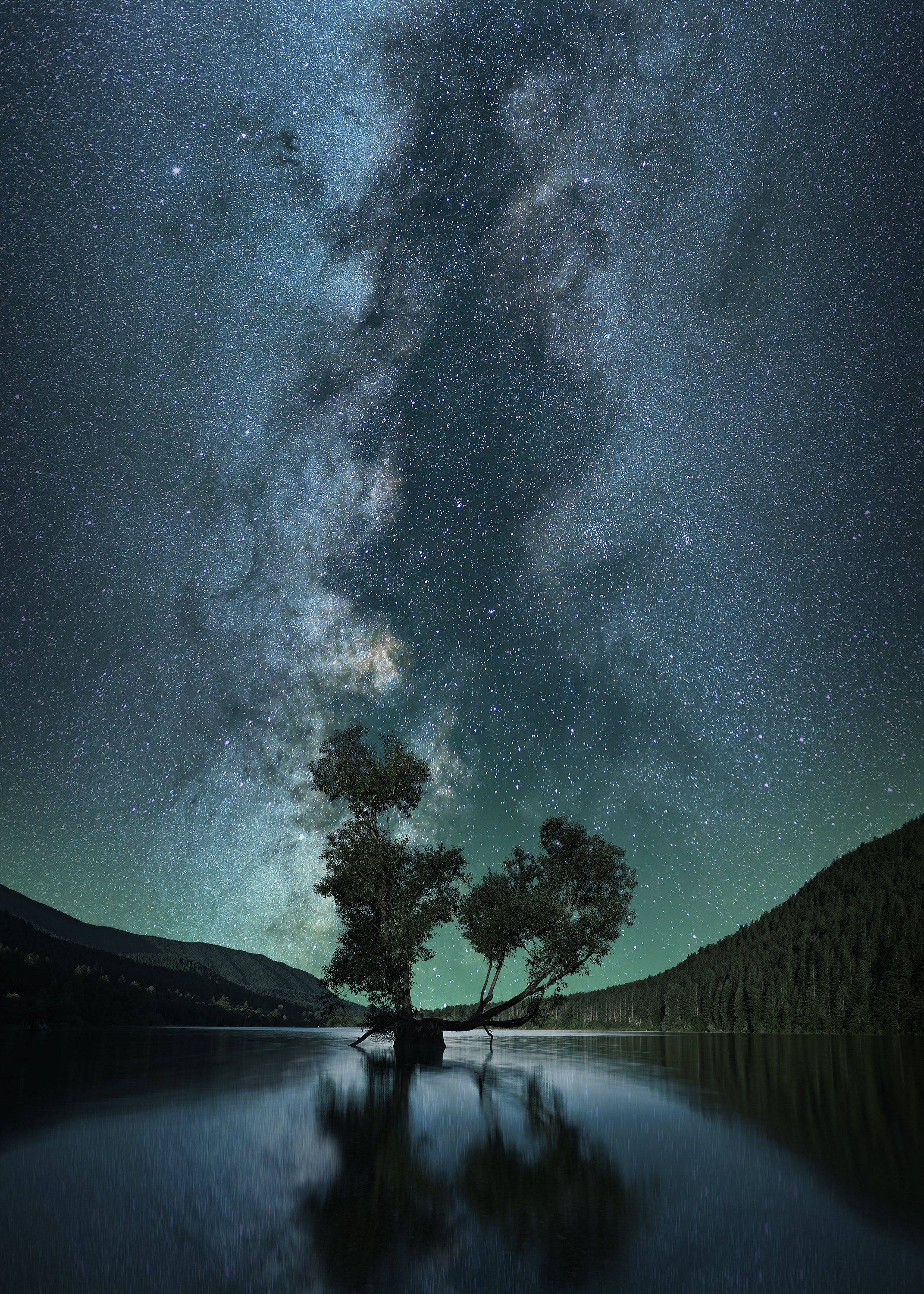 lake, nature, night, wood, tree, starry sky