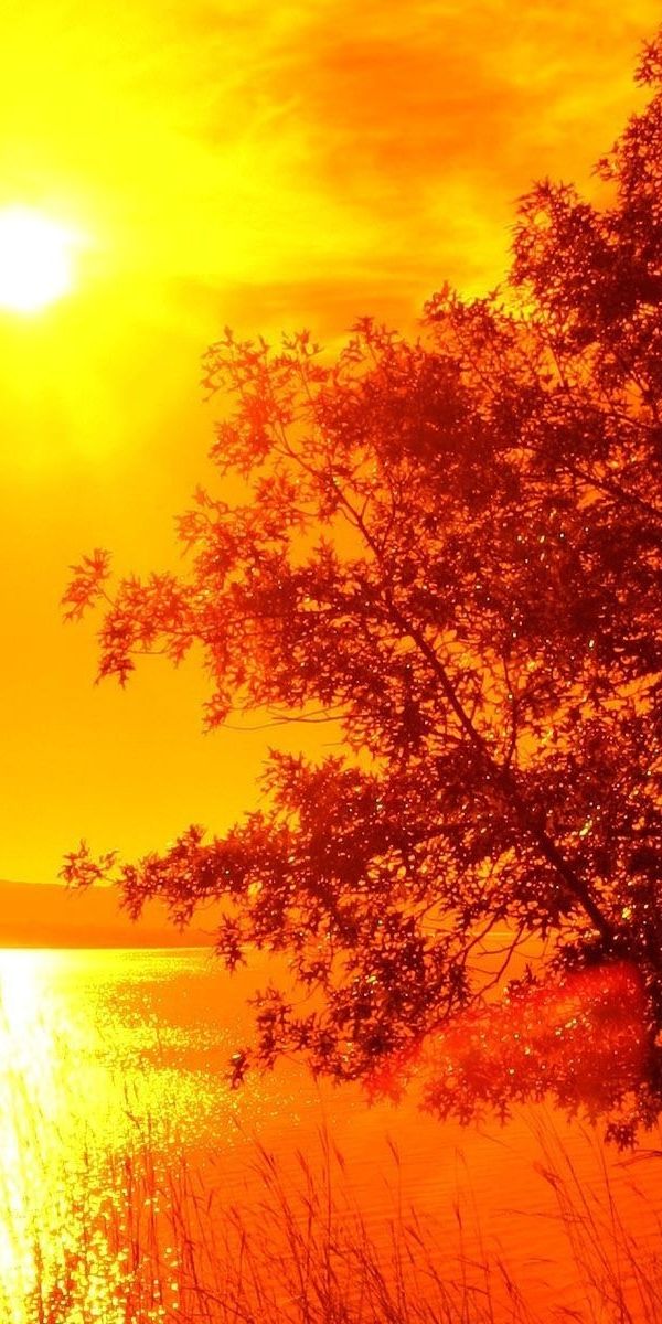 День солнца в шкафной стране. Осеннее солнце. Осень солнце. Рыжий закат. Красивый рассвет.