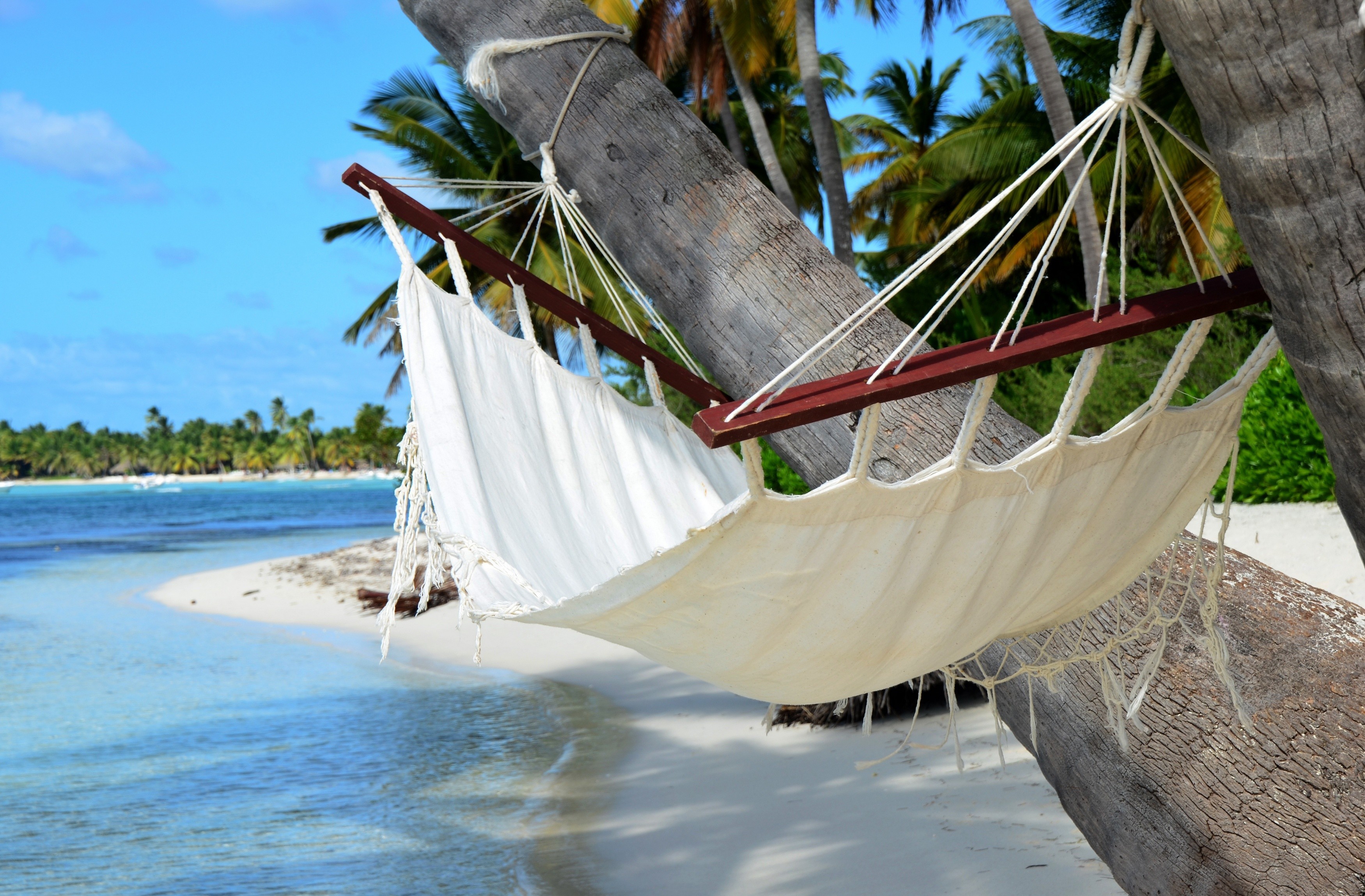 beach, man made, hammock, shadow, tropics