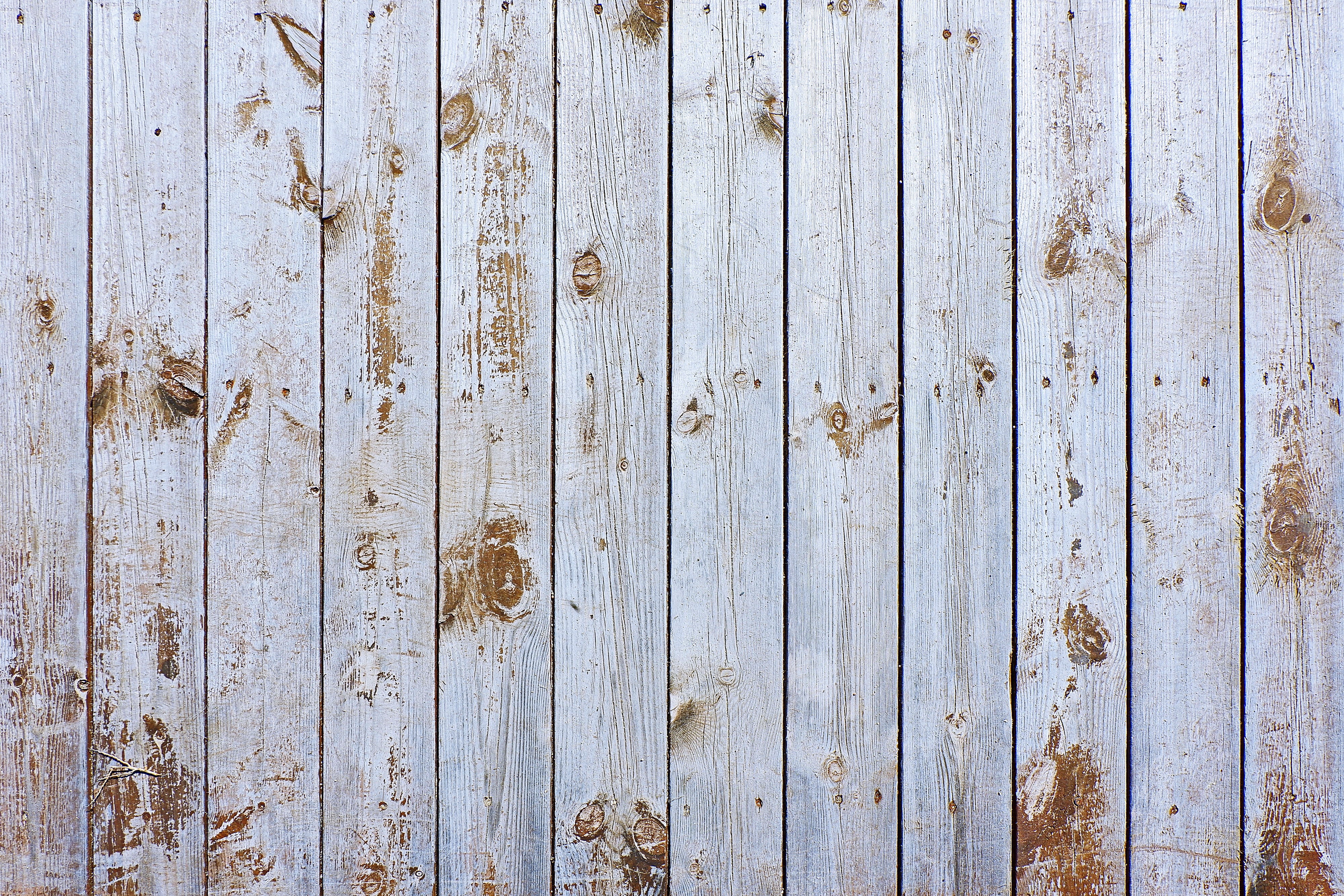 Download mobile wallpaper Planks, Wood, Board, Texture, Surface, Wooden, Textures for free.