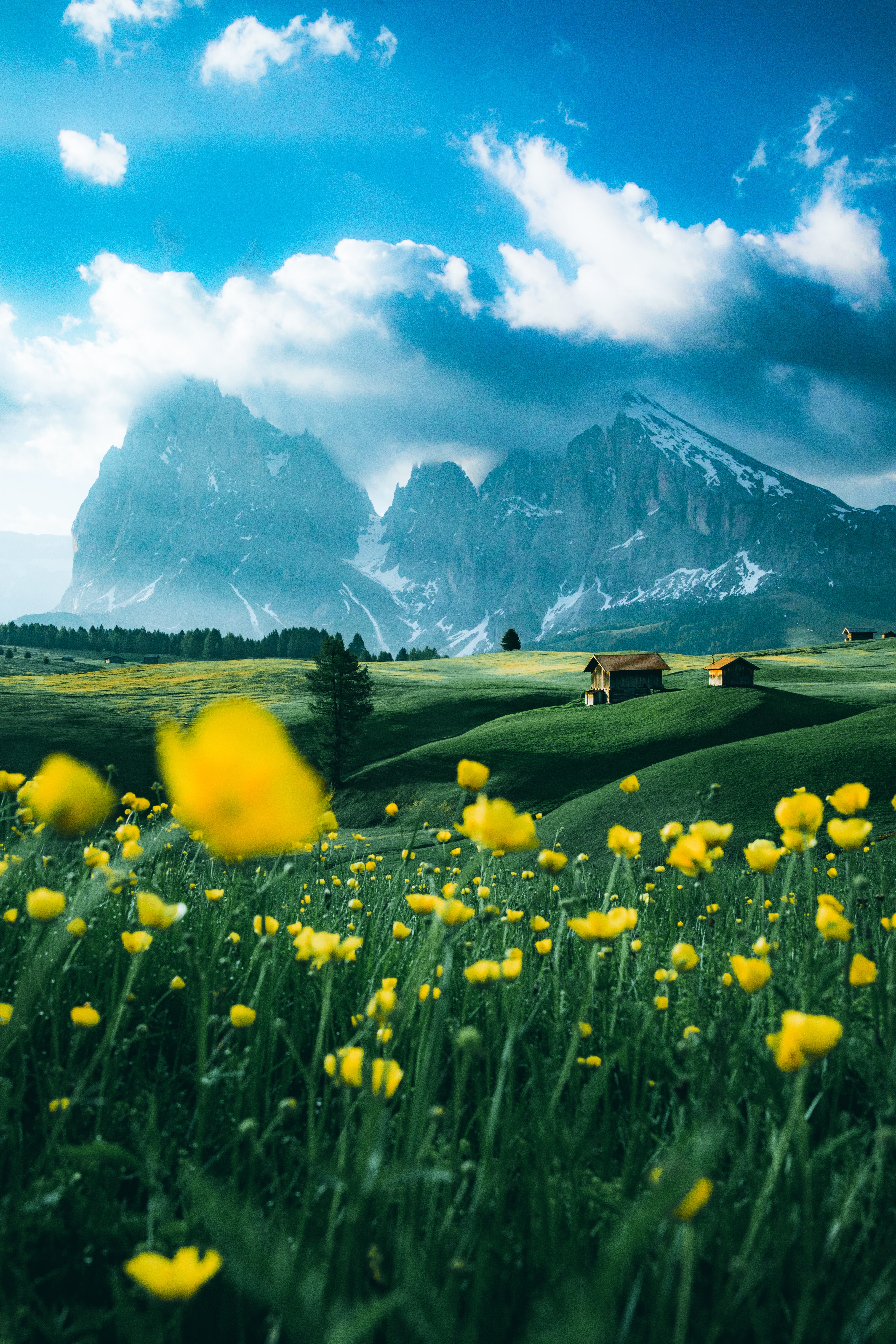 nature, flowers, mountains, structure, field, spaciousness, scope