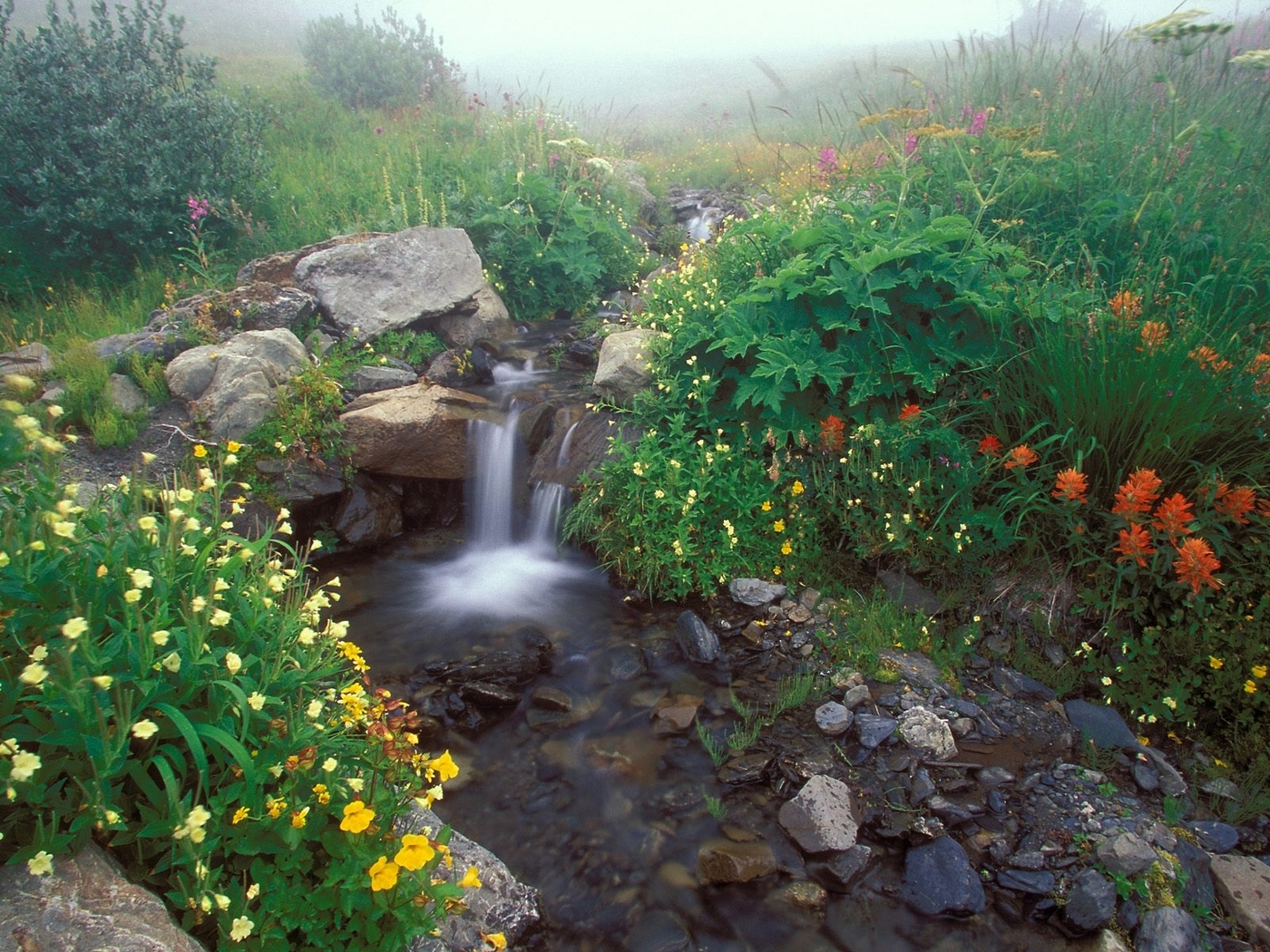 Download mobile wallpaper Landscape, Flowers, Waterfalls for free.