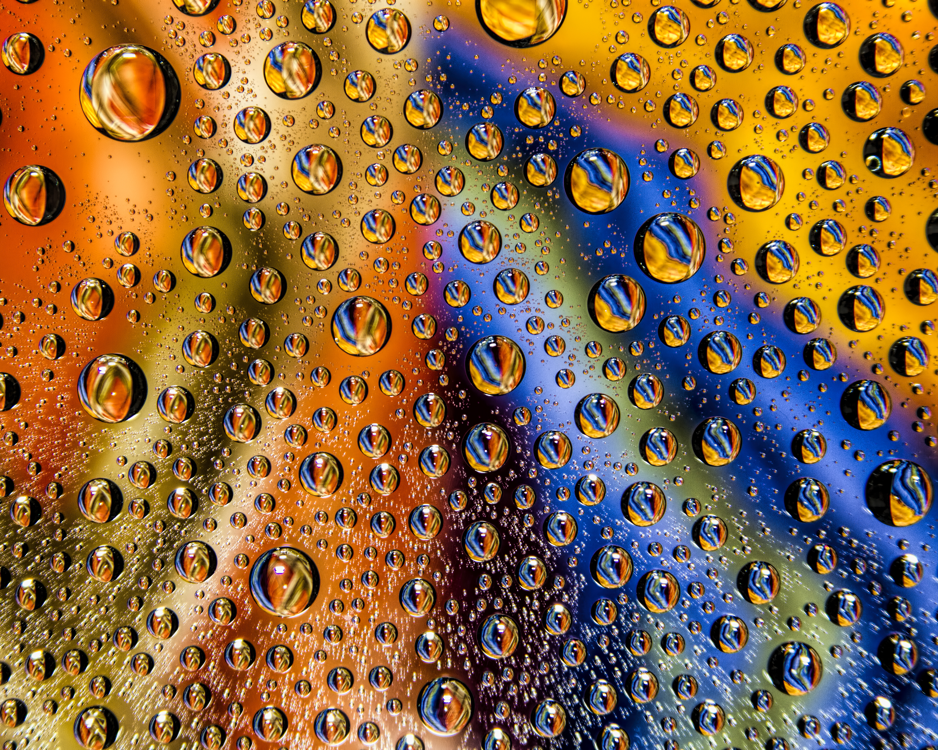 multicolored, drops, macro, motley, wet, surface 2160p