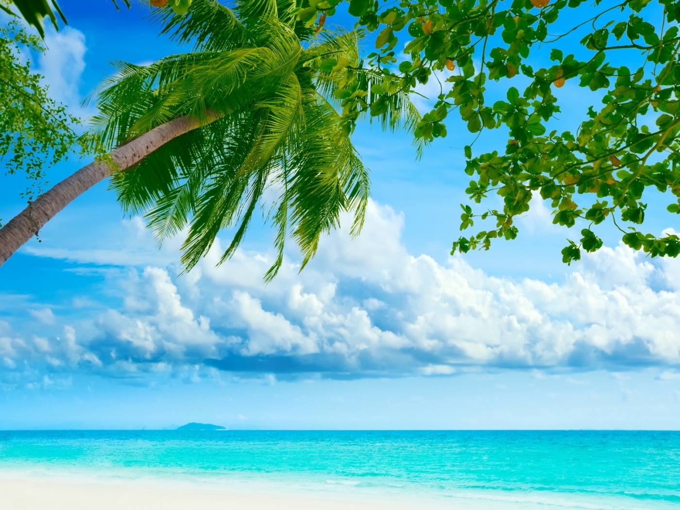 Download mobile wallpaper Landscape, Palms, Sea for free.