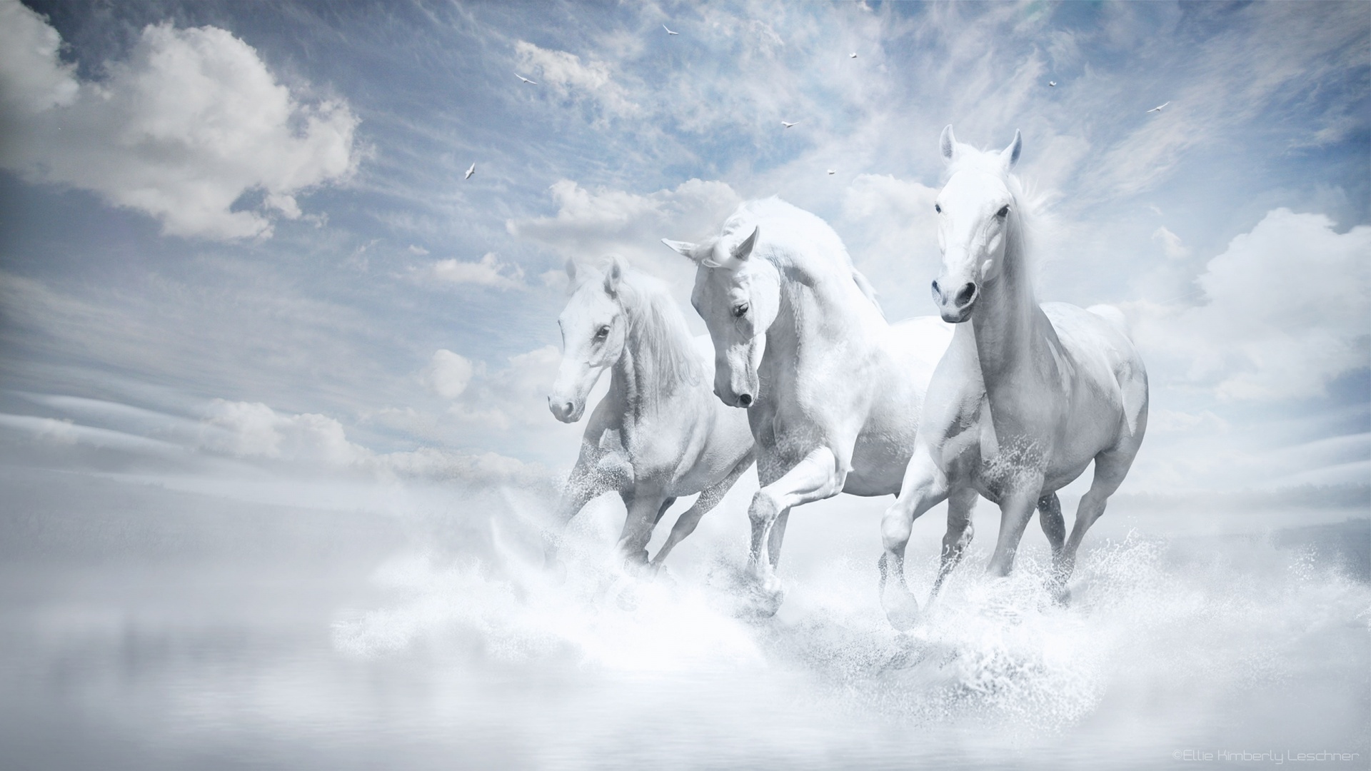 Download mobile wallpaper Fantasy, Horse, Running, Fantasy Animals for free.