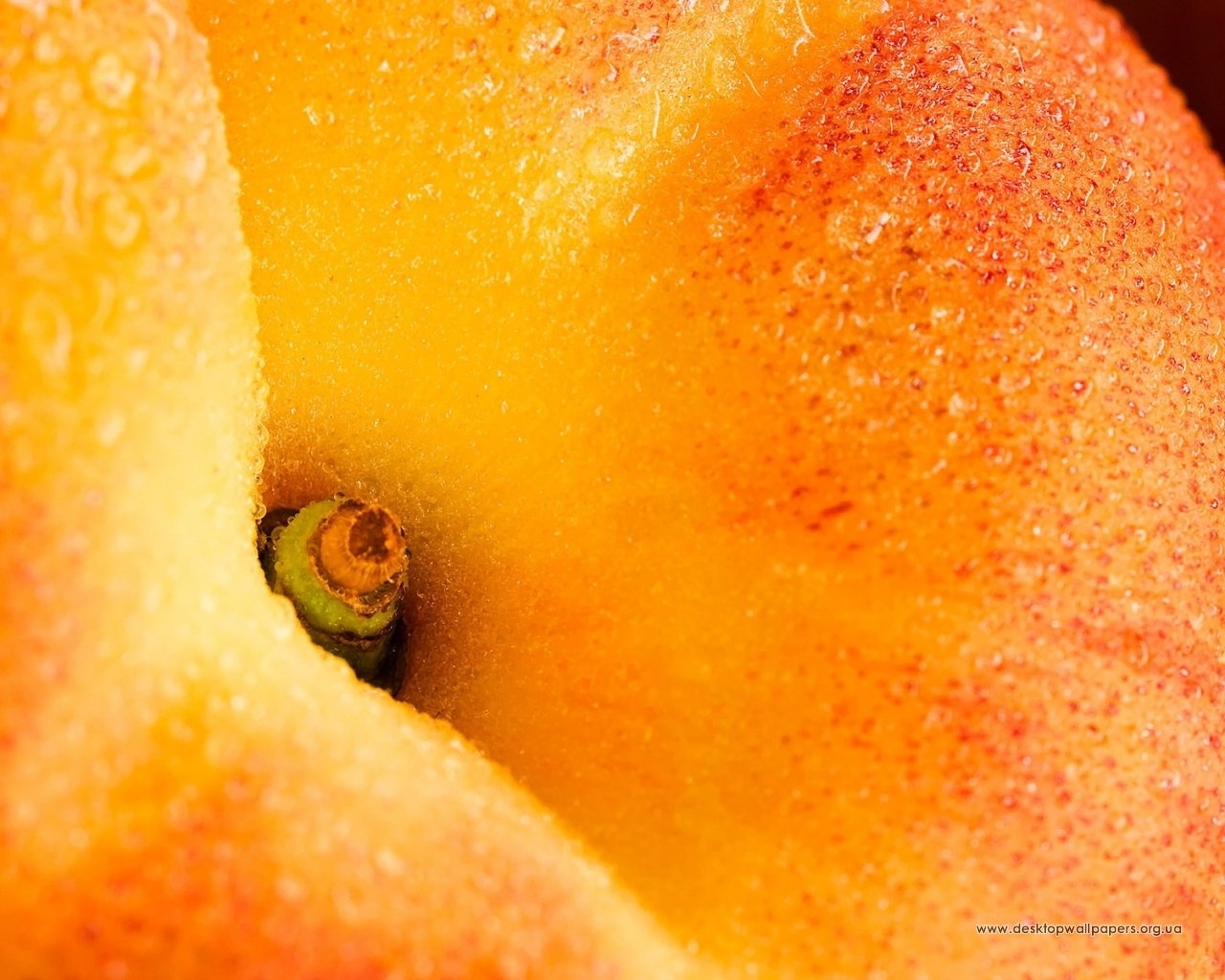 fruits, food, peaches, orange QHD