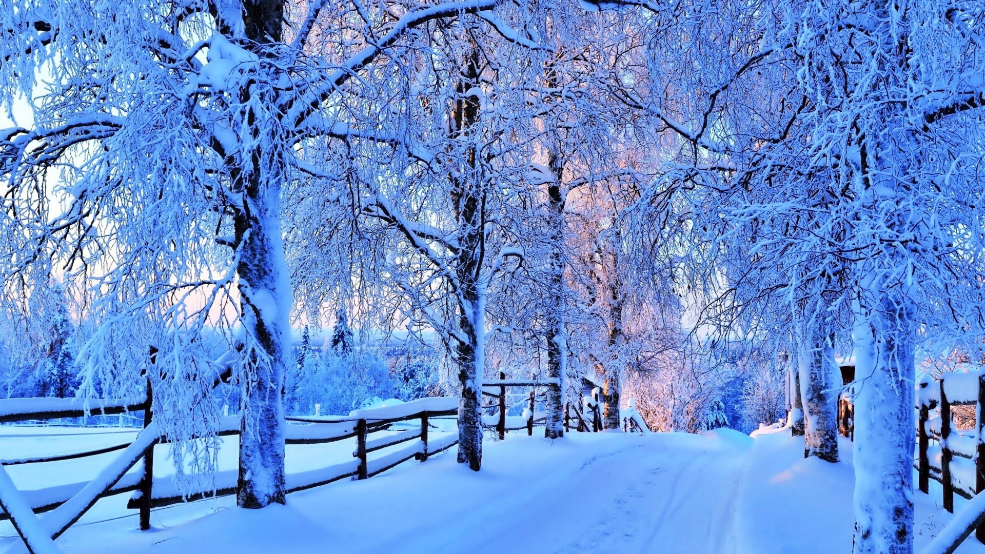самые красивые фото зимы
