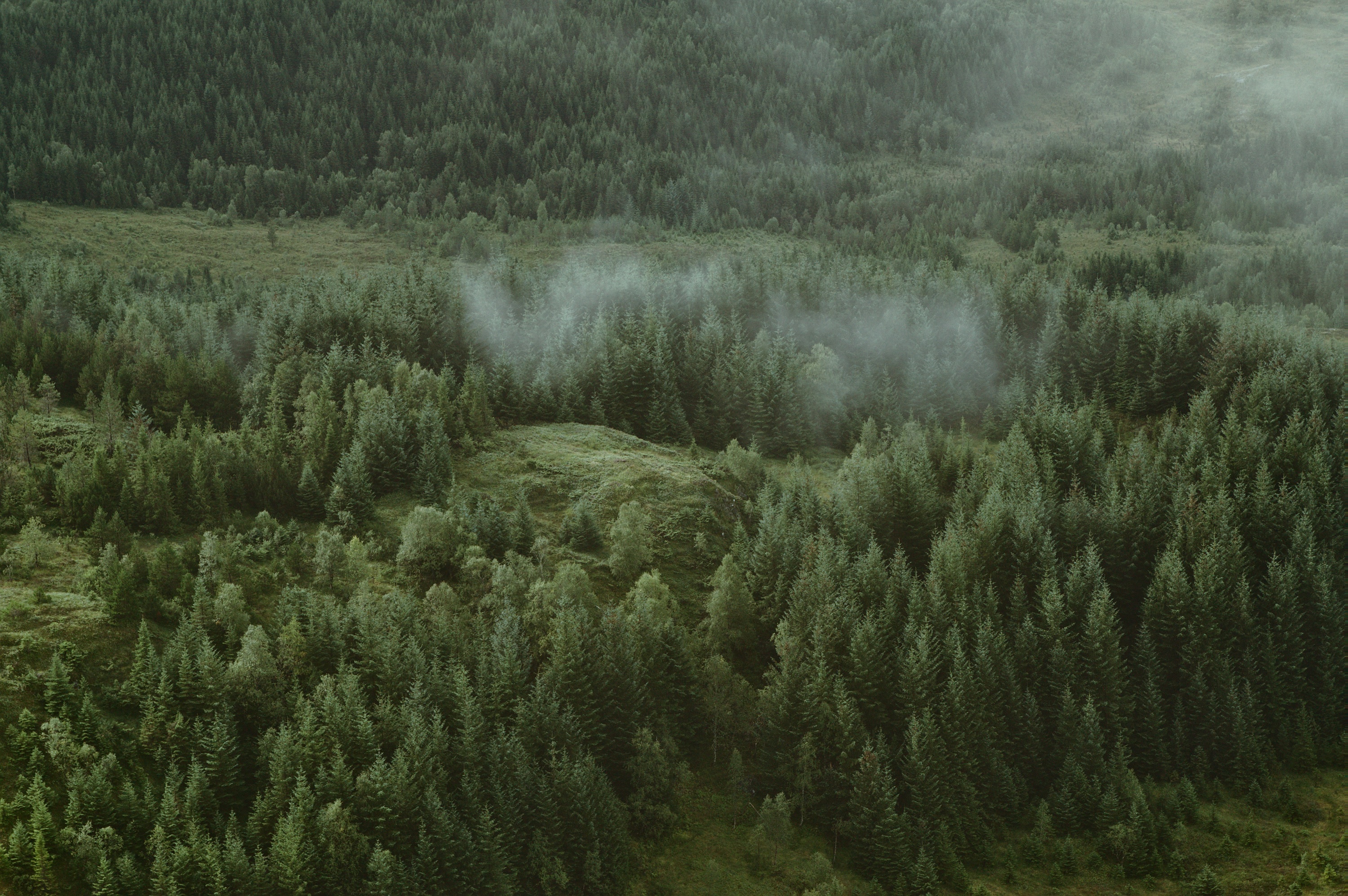 Mobile wallpaper view from above, coniferous, nature, trees, clouds, forest, hills