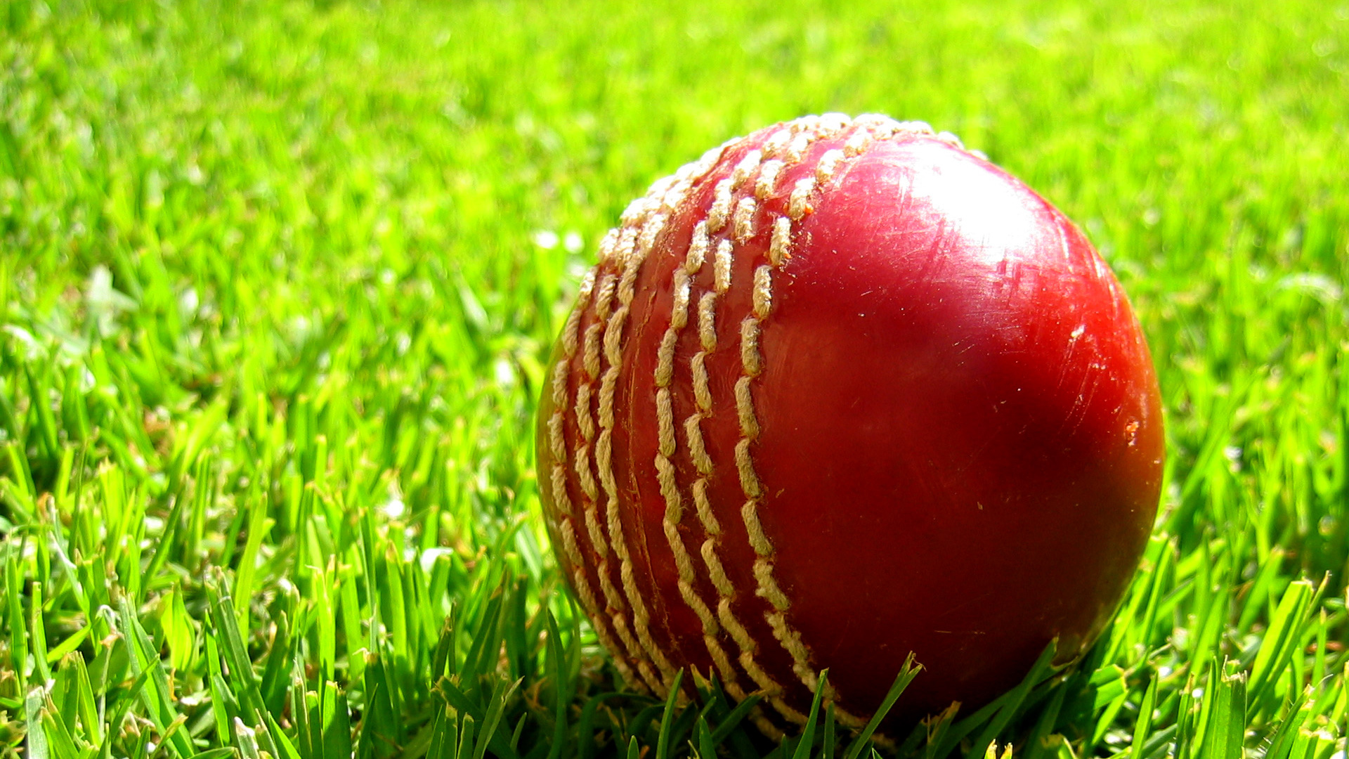 Cricket Wallpapers 47 images inside