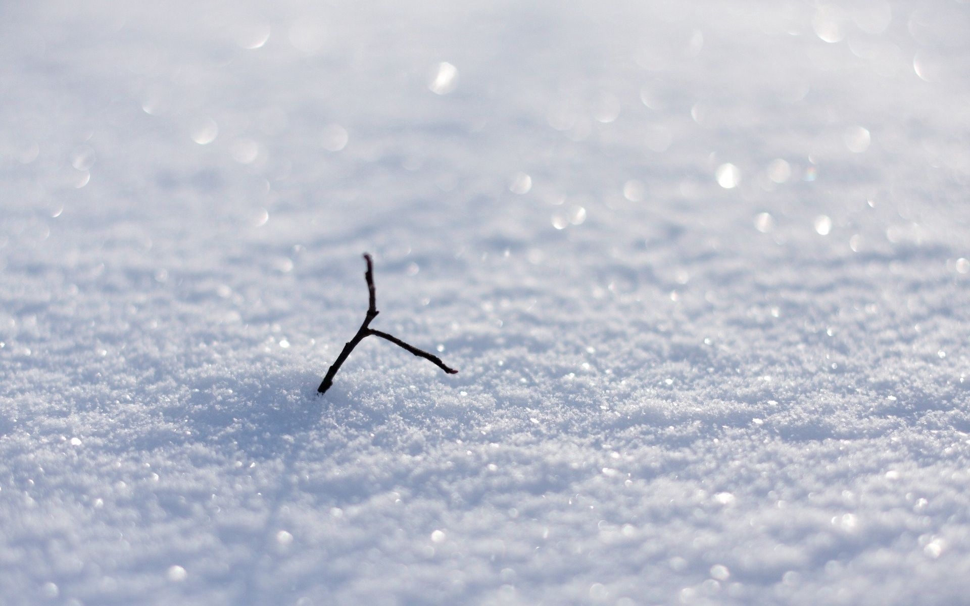 snow, macro, shine, brilliance, branch, snowfields, snowballs phone background