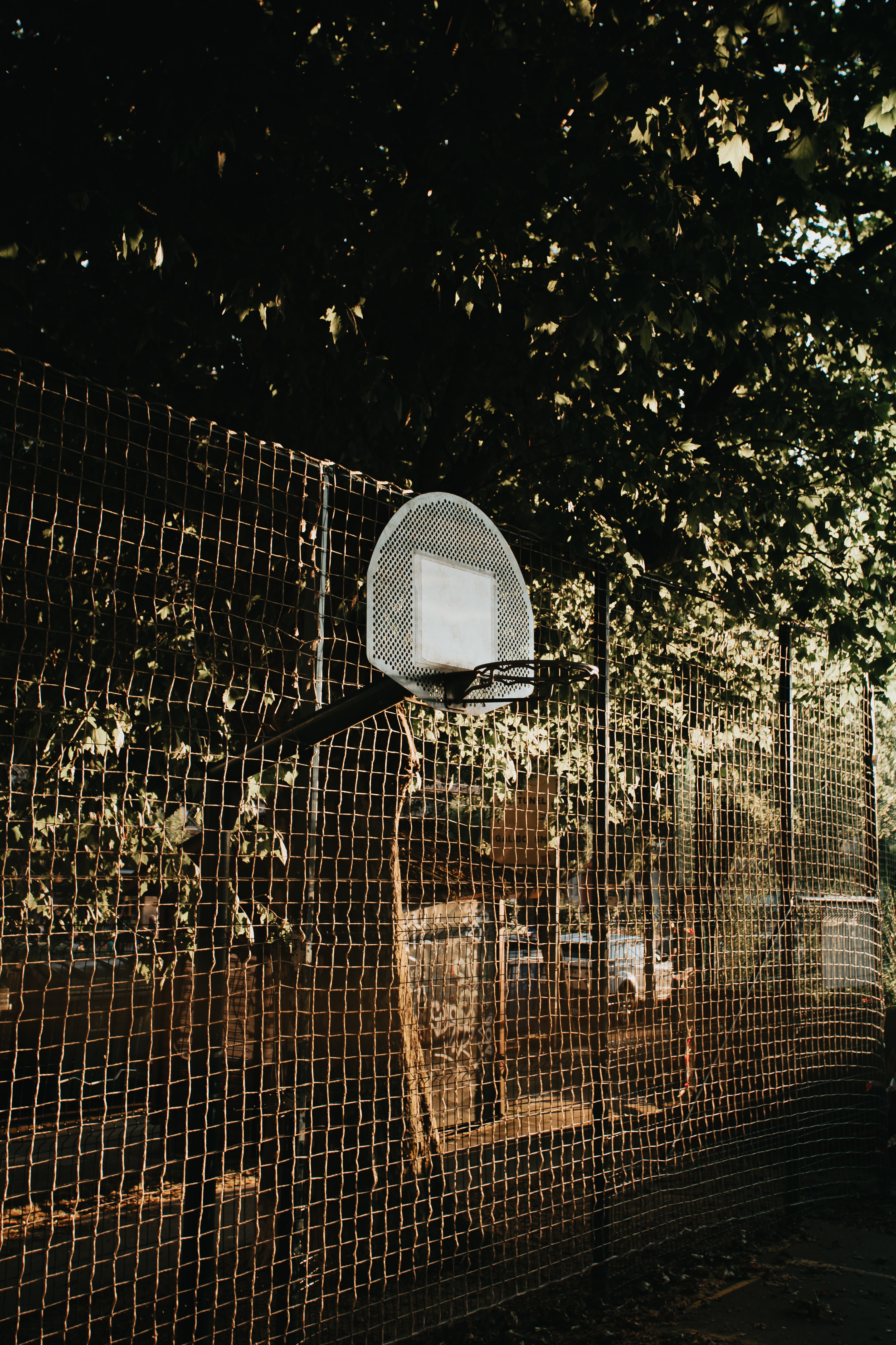 trees, basketball, miscellanea, miscellaneous, grid, basketball backboard, basketball shield HD wallpaper
