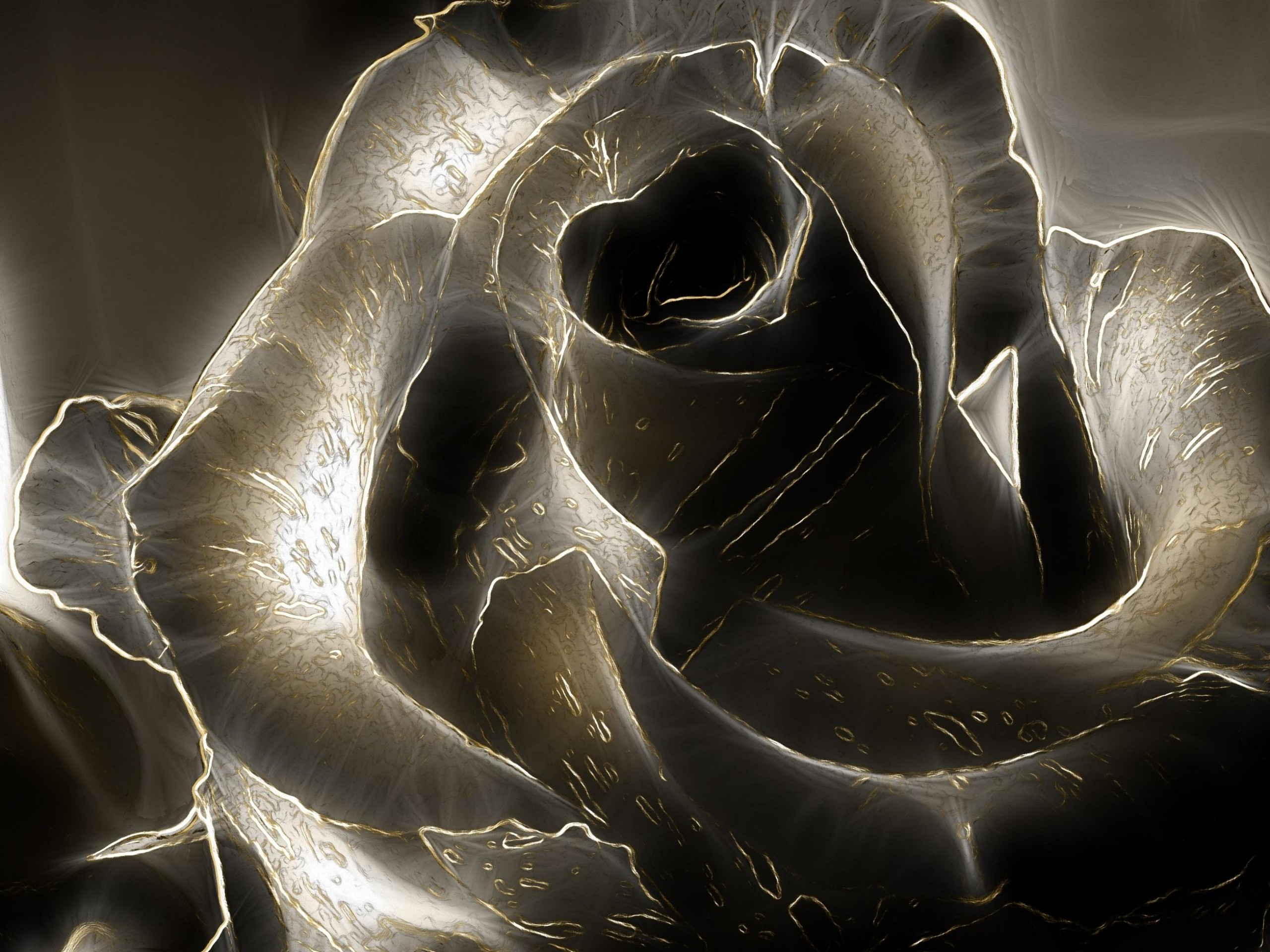 Черная роза HD