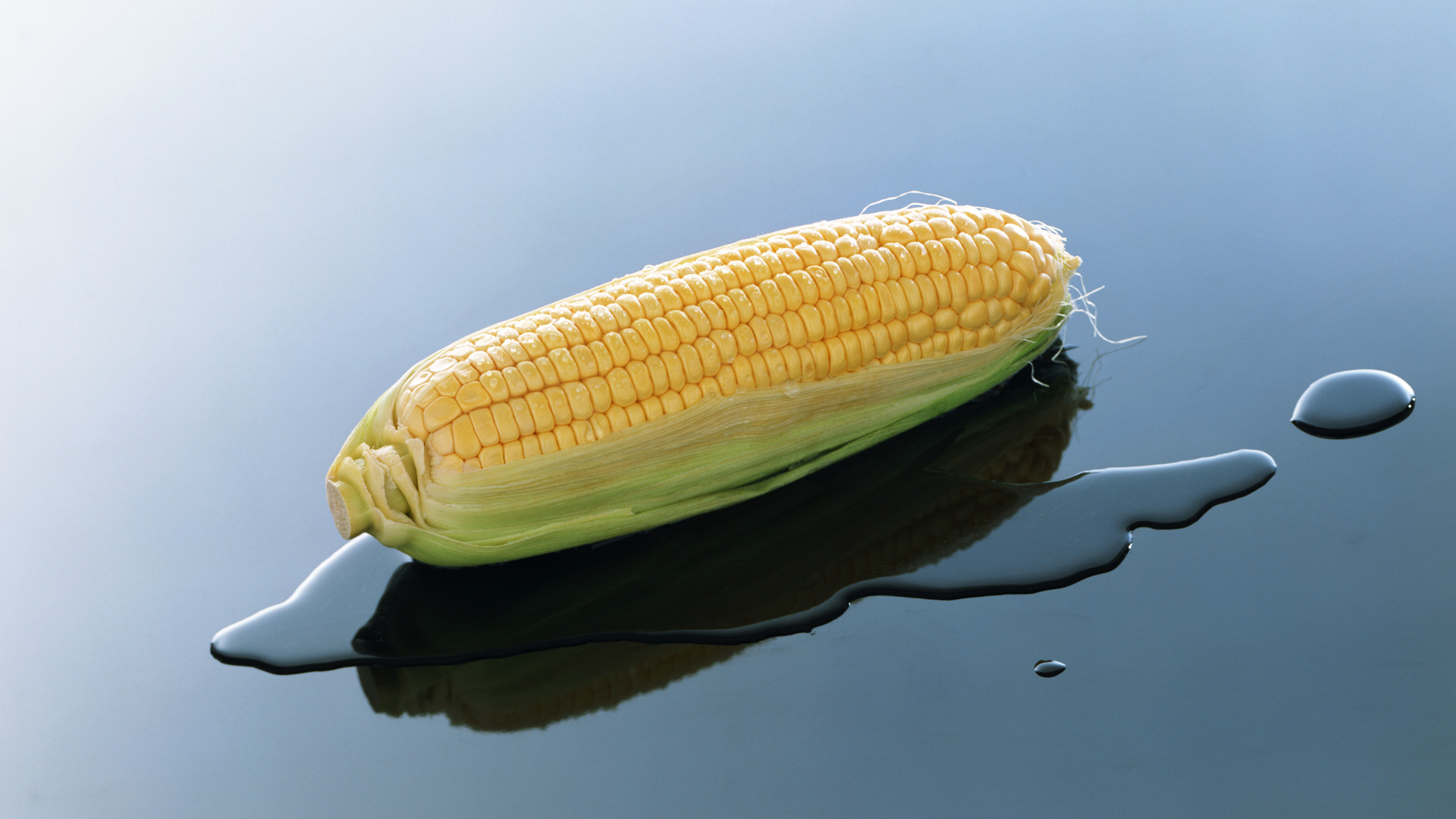 food, corn Phone Background