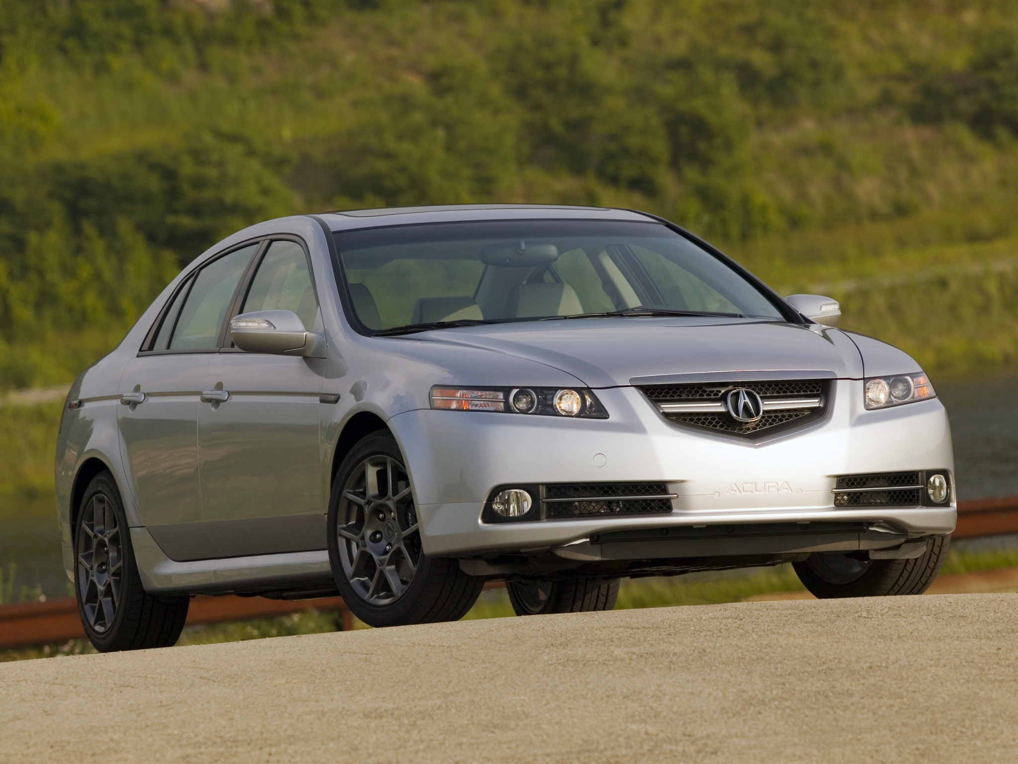 auto, nature, grass, acura, cars, front view, style, akura, shrubs, tl, 2007, silver metallic phone background