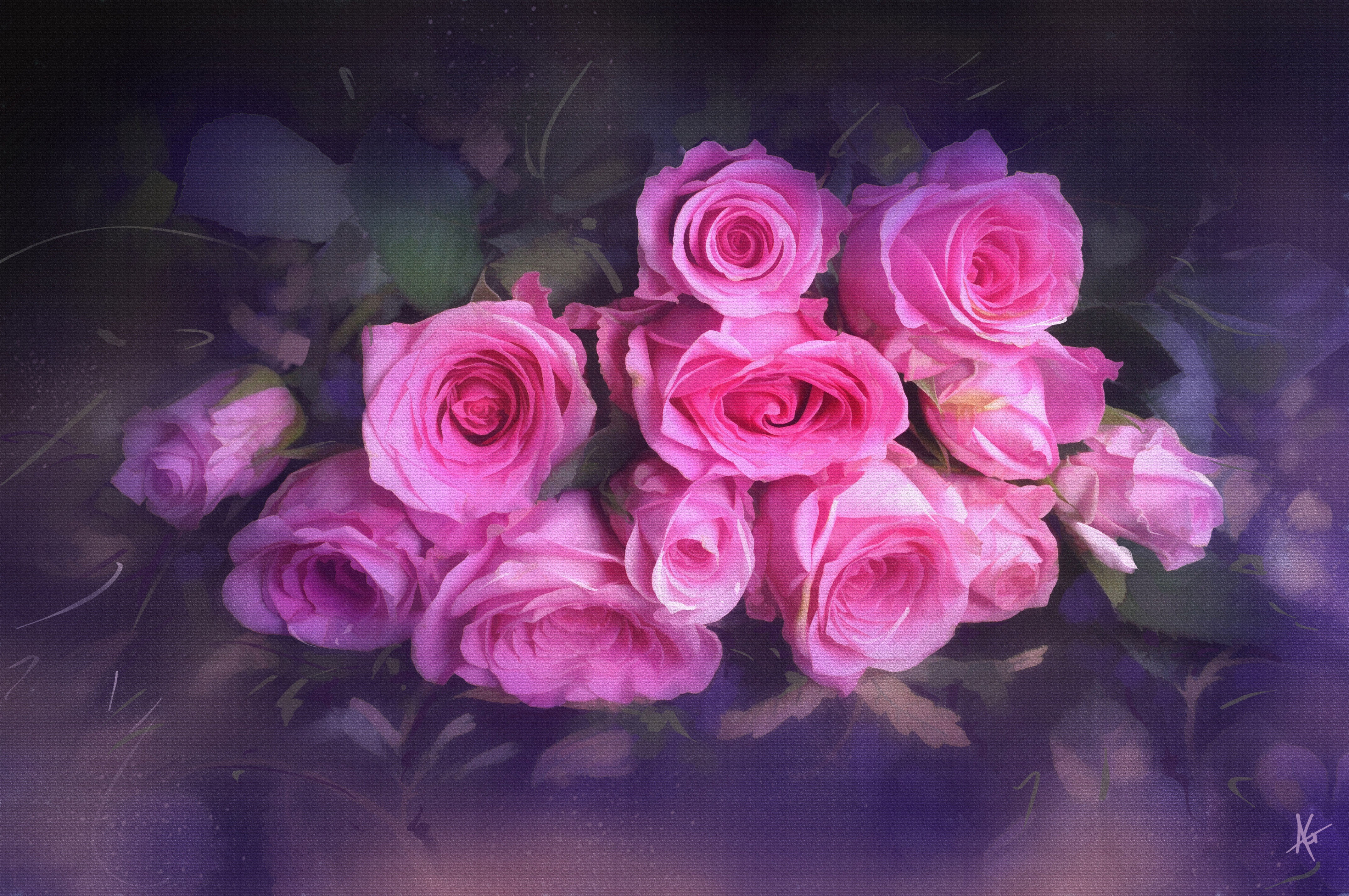 Песни розовый букет. Розовые розы. Цветы розы розовые. Розовые розы фон. Темно розовые розы.