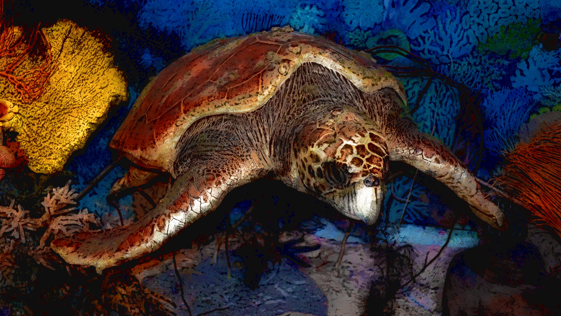 421615 завантажити картинку тварина, черепаха, ілюстрація, черепахи - шпалери і заставки безкоштовно