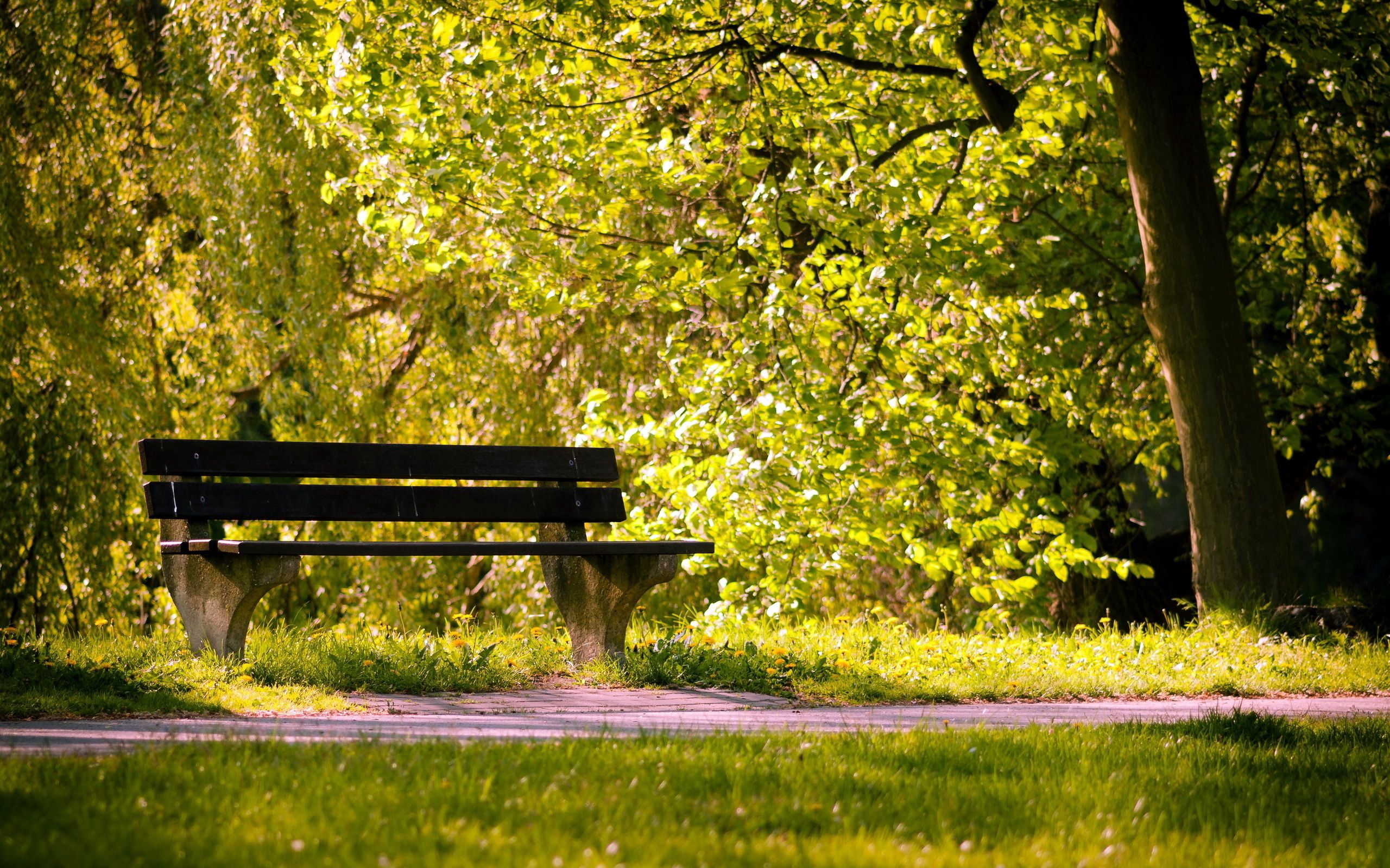красивые скамейки в парках