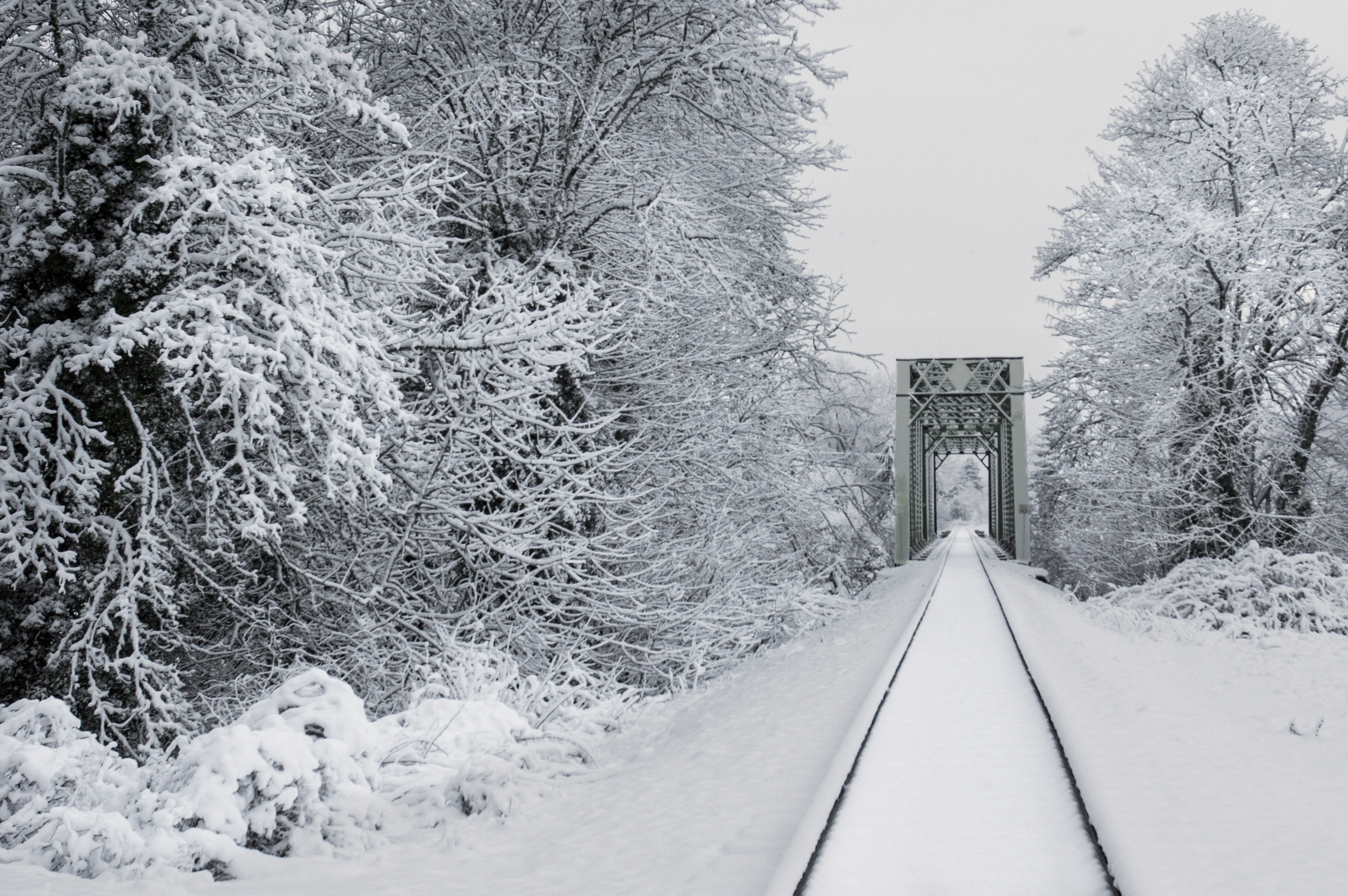 141041壁紙のダウンロード橋, 冬, 自然, 木, 雪, ブリッジ, 鉄道-スクリーンセーバーと写真を無料で