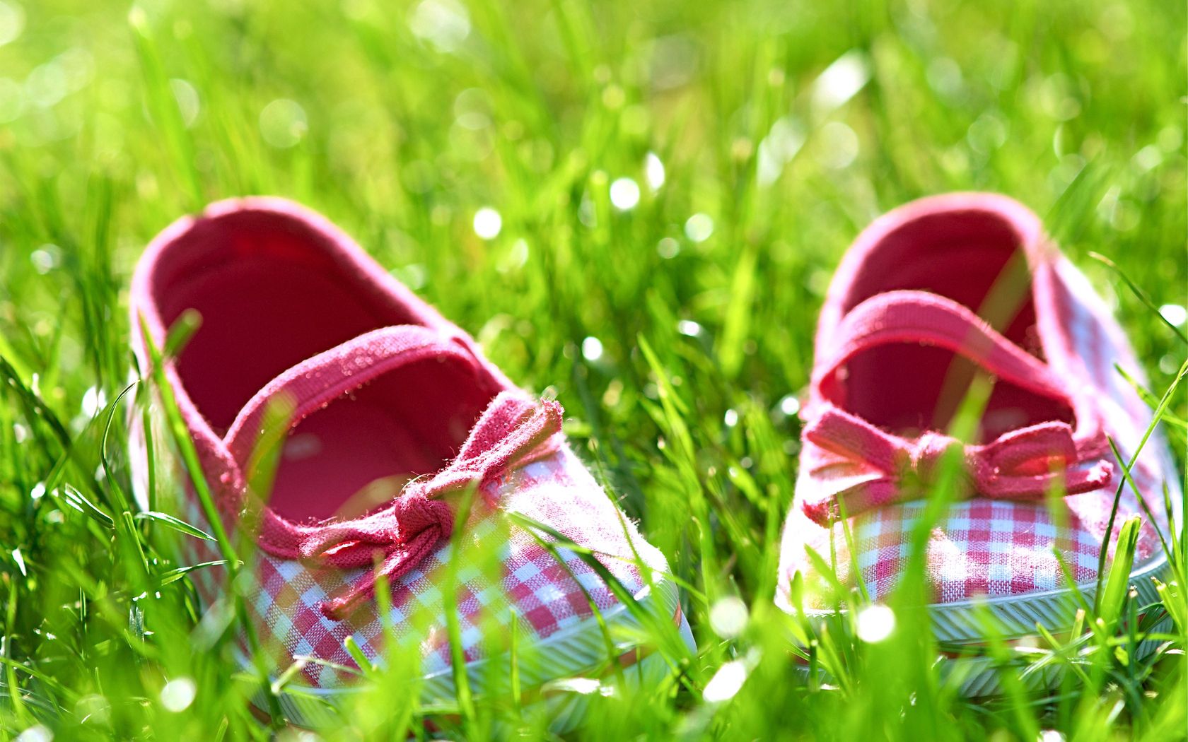 grass, bright, miscellanea, miscellaneous, footwear, slippers phone background