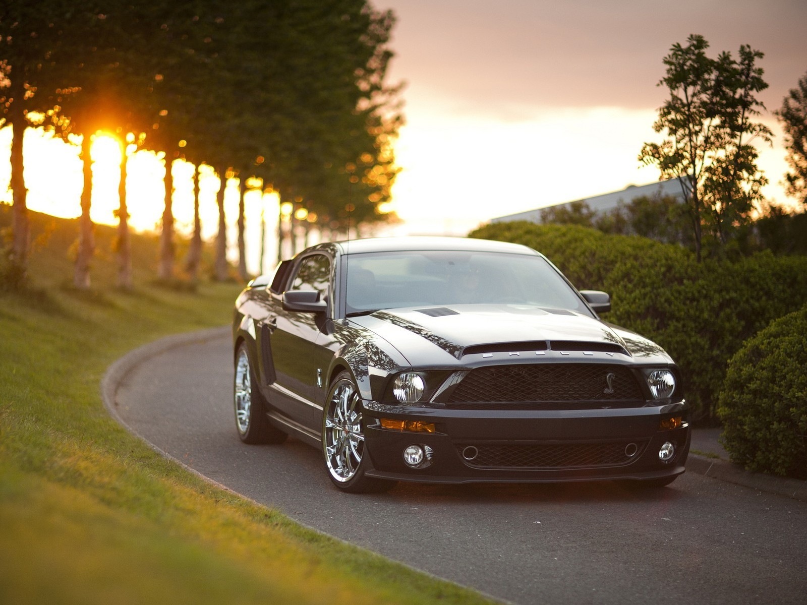 Download mobile wallpaper Transport, Roads, Auto, Mustang for free.