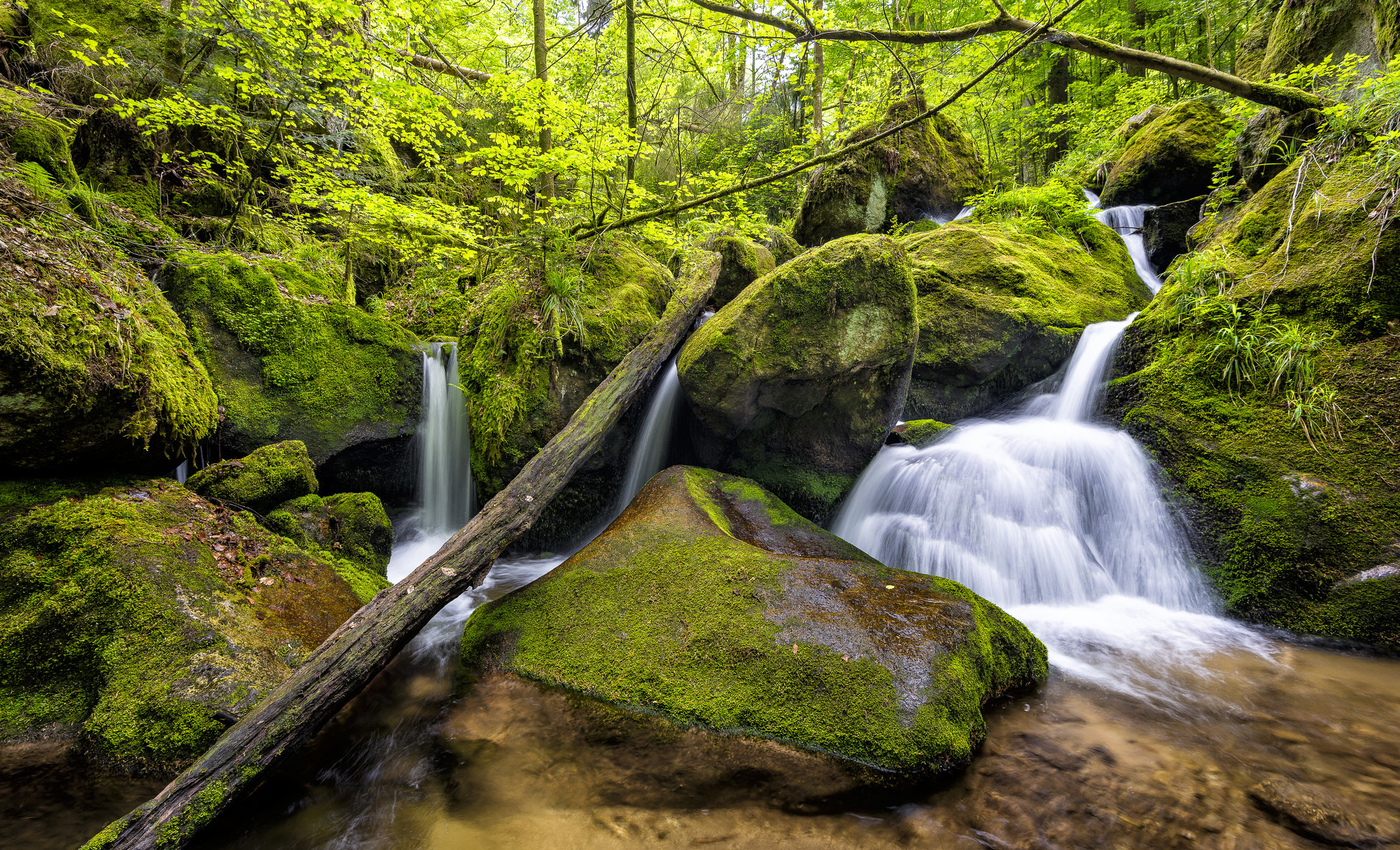 Free download wallpaper Nature, Waterfalls, Waterfall, Forest, Earth, Foam, Moss on your PC desktop