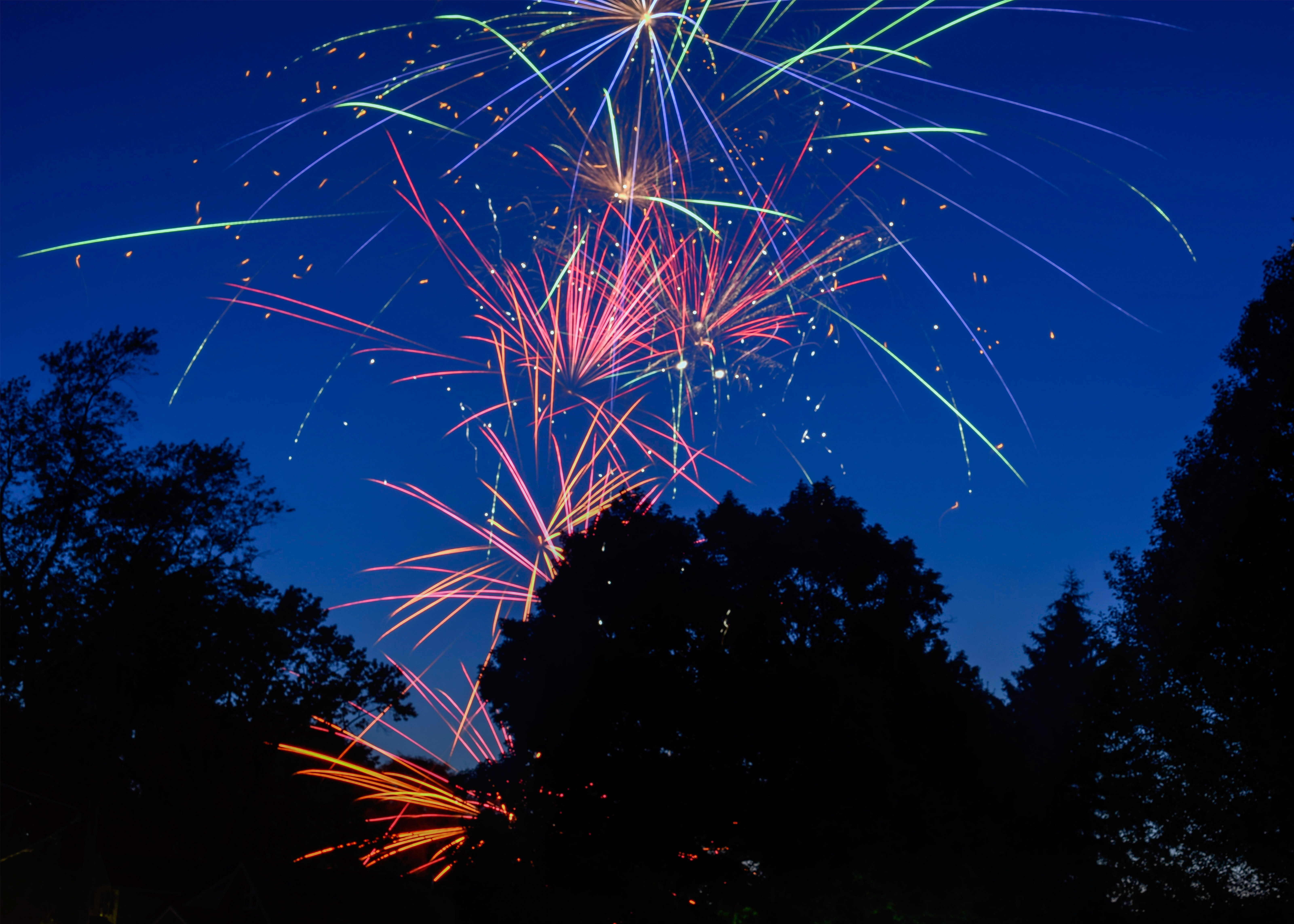 sparks, firework, holidays, trees, salute, holiday, fireworks High Definition image