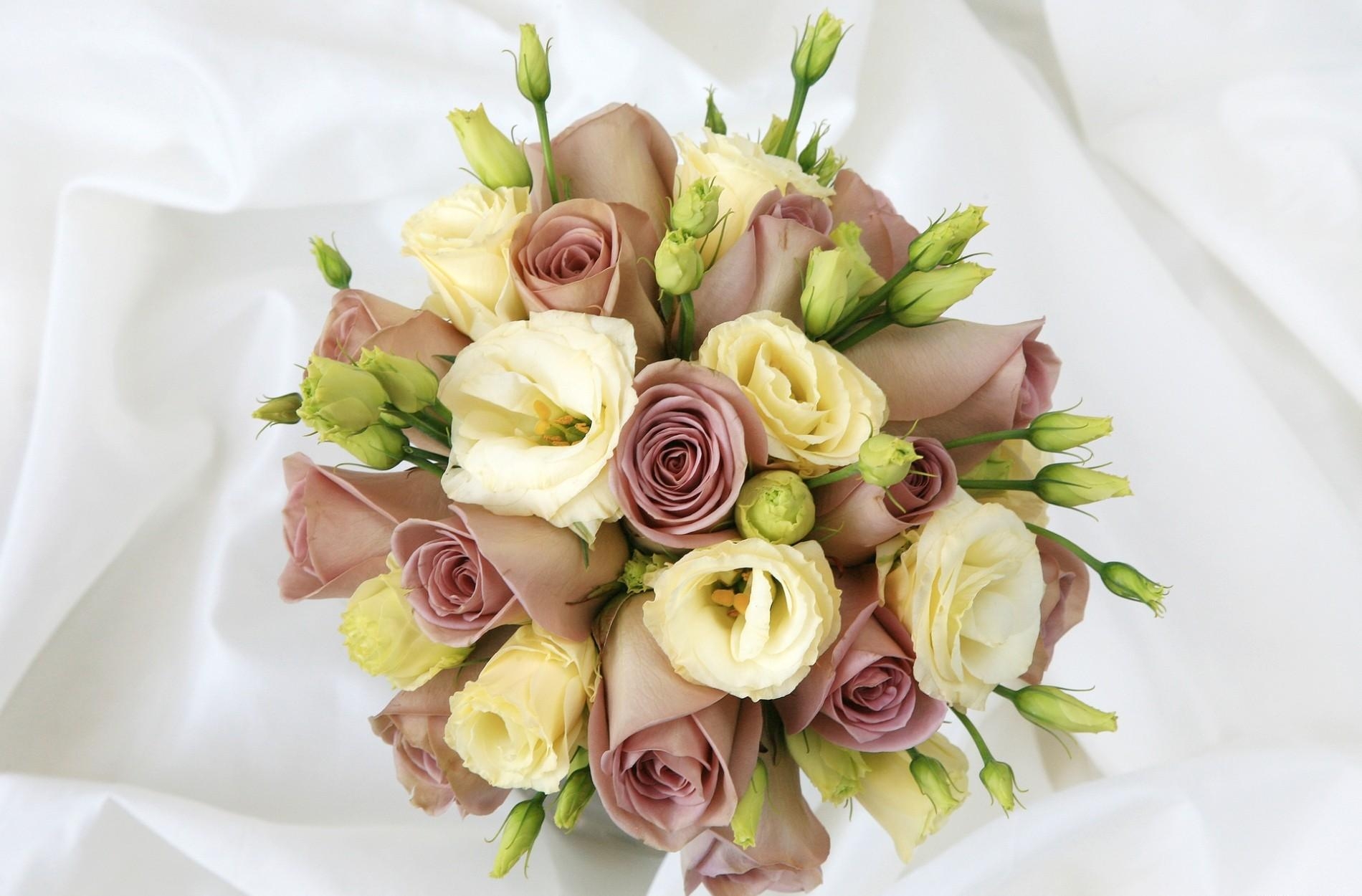 roses, flowers, registration, typography, bouquet, lisianthus russell, lisiantus russell