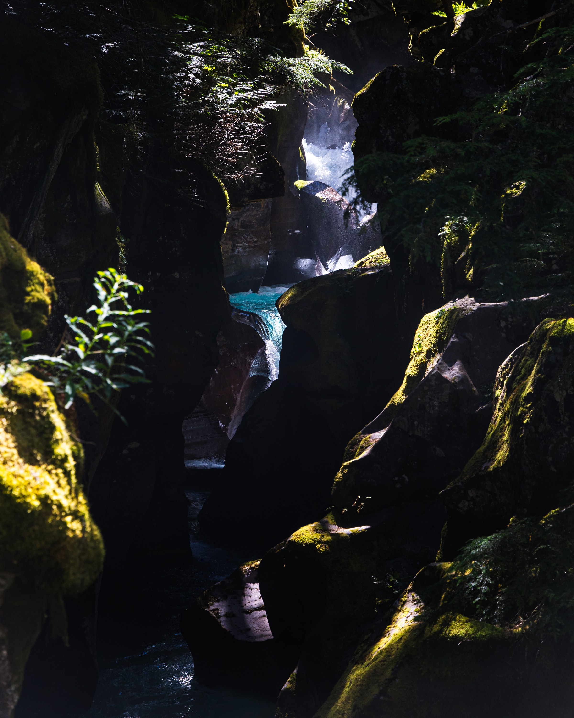 PCデスクトップに自然, 水, 峡谷, 滝, 岩, ブランチ, 枝画像を無料でダウンロード