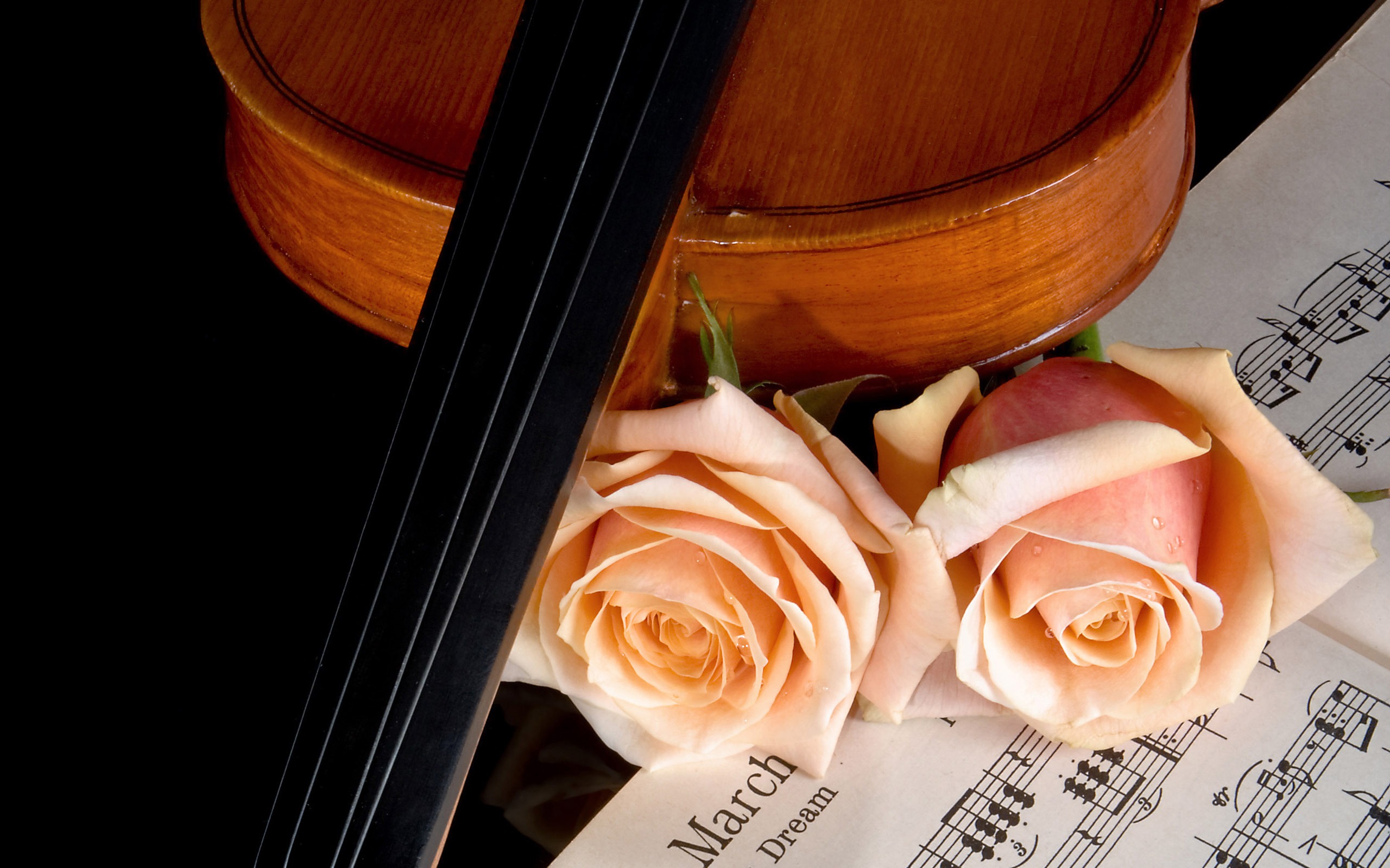 Скрипка и цветы
