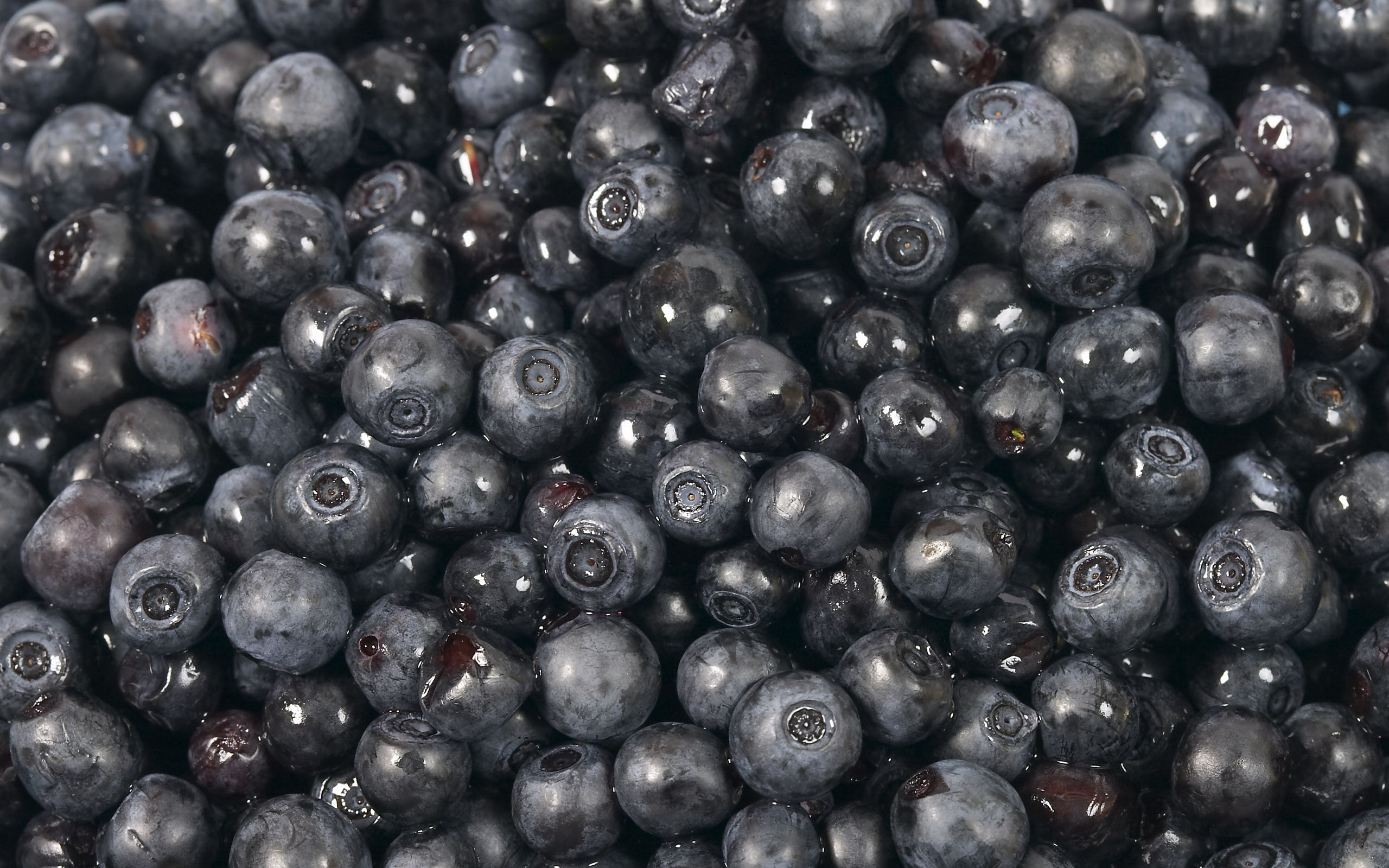 food, blueberry 1080p