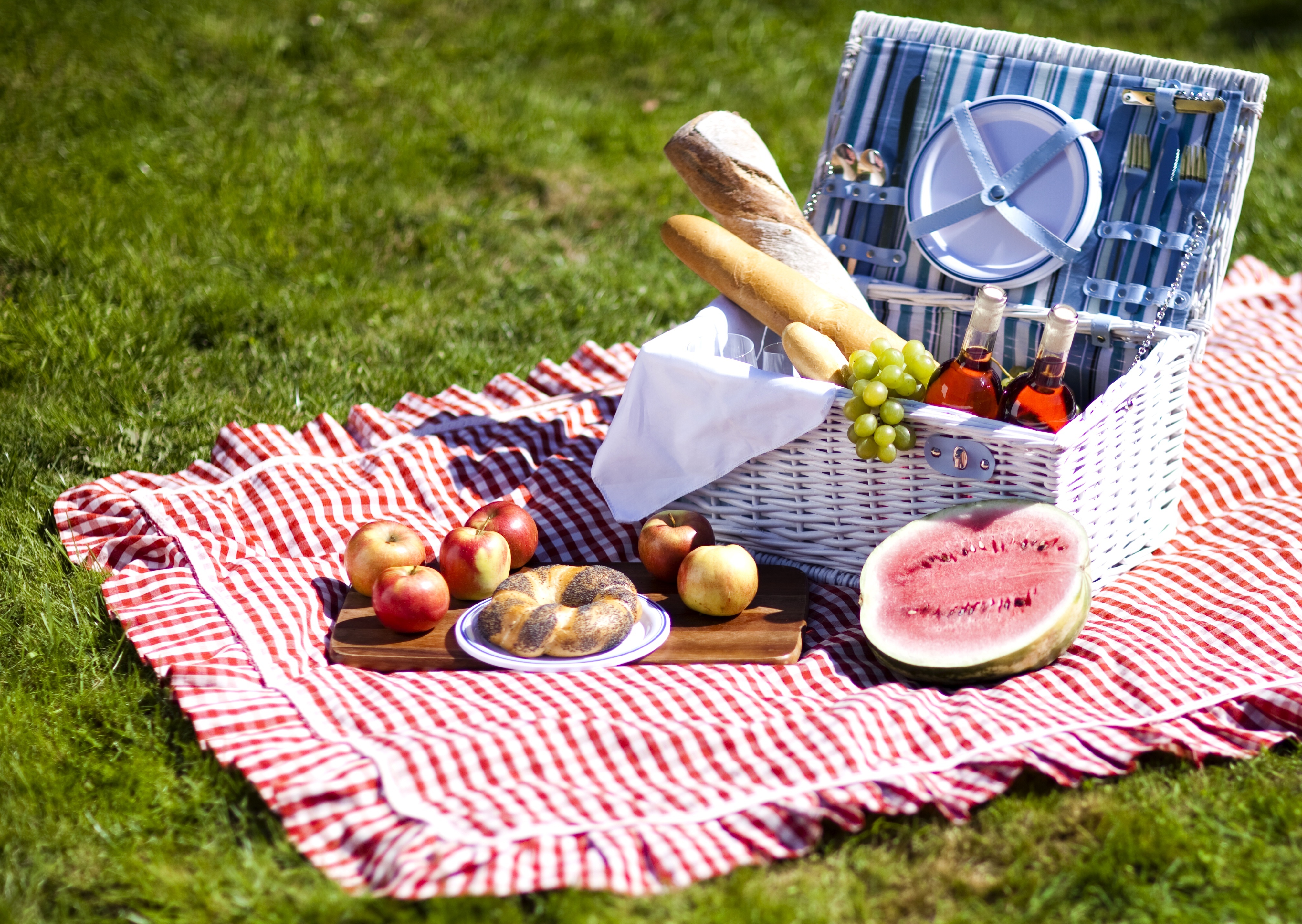 picnic, food Phone Background