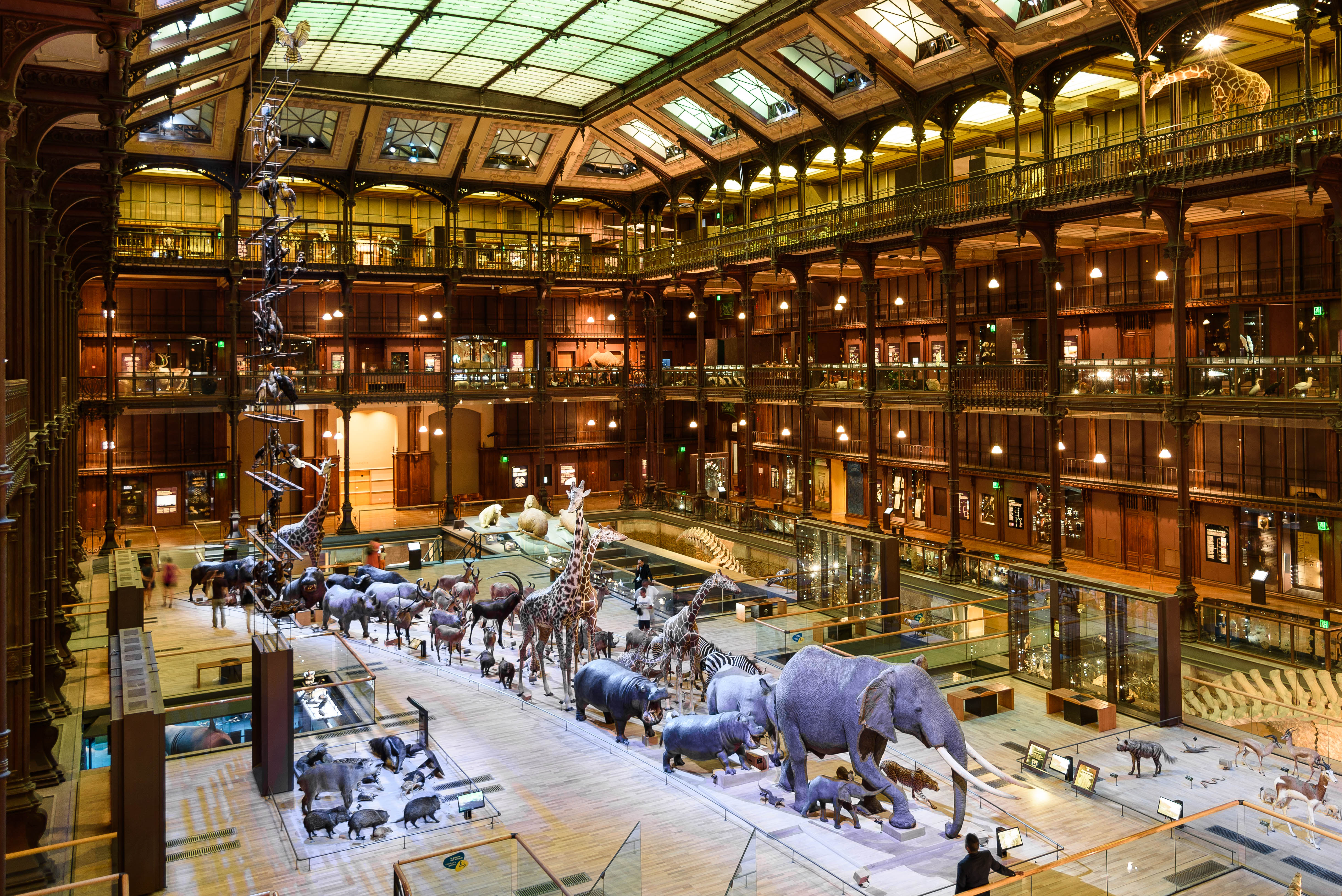 museum, man made, building, elephant, giraffe, history, paris lock screen backgrounds