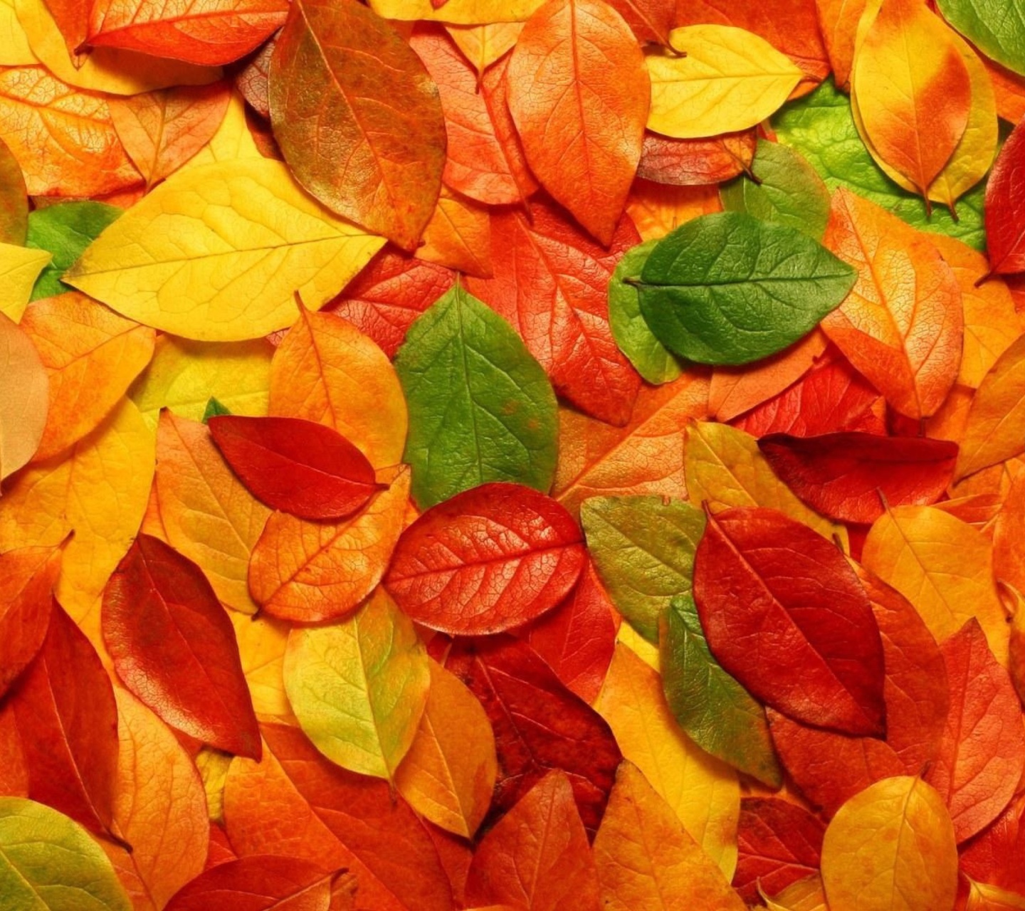 Осенние листочки