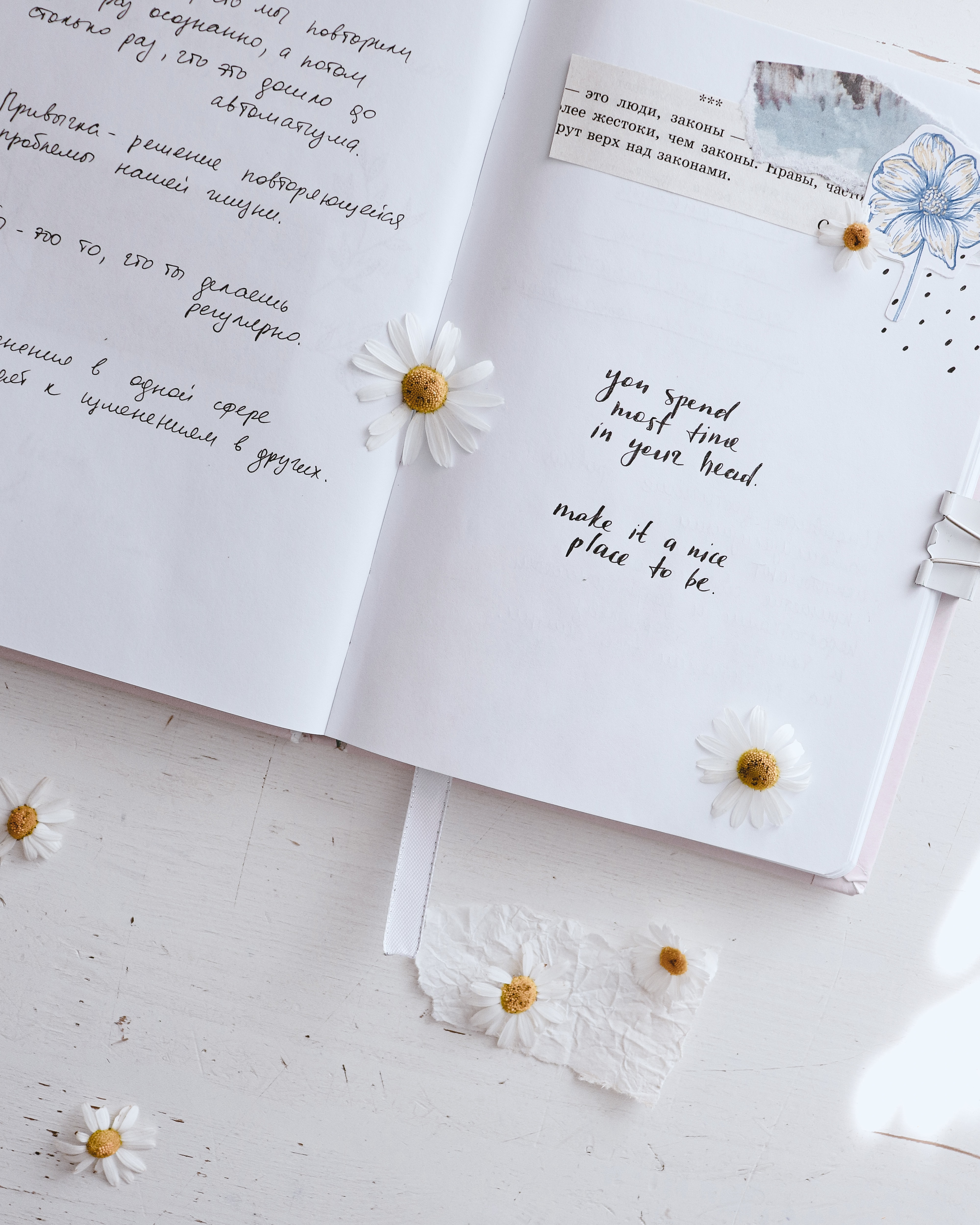 notebook, quotes, lettering, notepad, flowers, words, inscriptions, phrases UHD